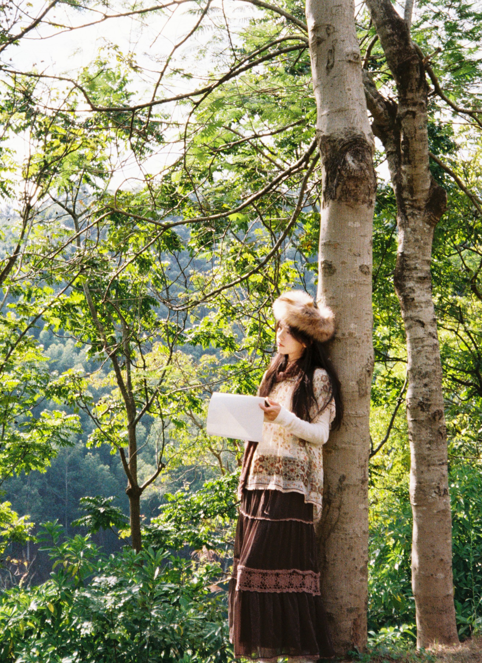 《树是秋日的脉搏》[31P]