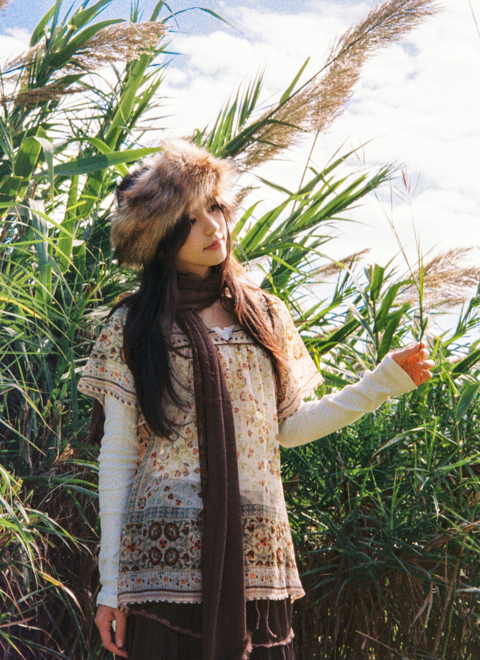 《树是秋日的脉搏》[31P]