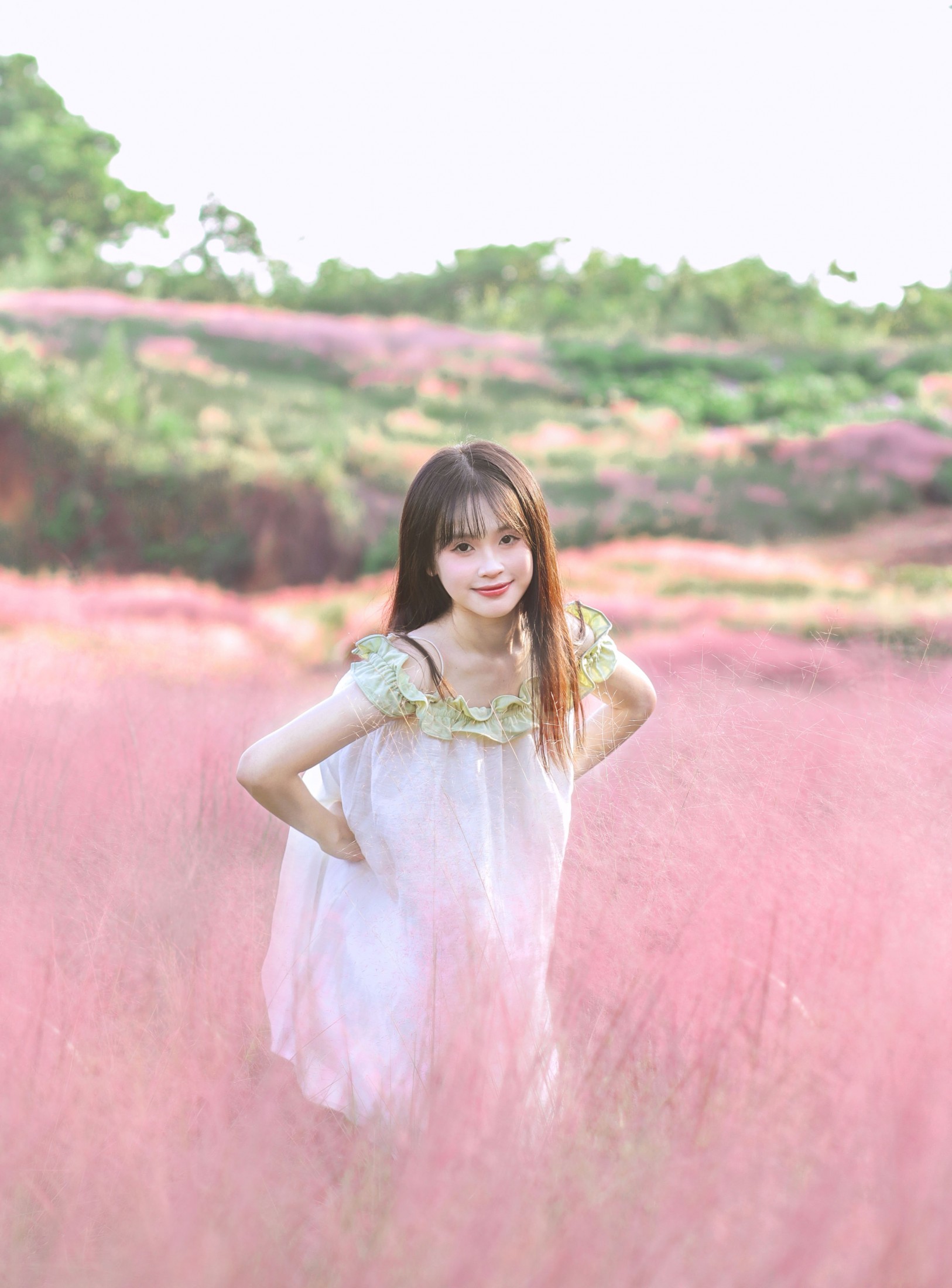 西洋西洋菜 - 《粉色花海》[15P]