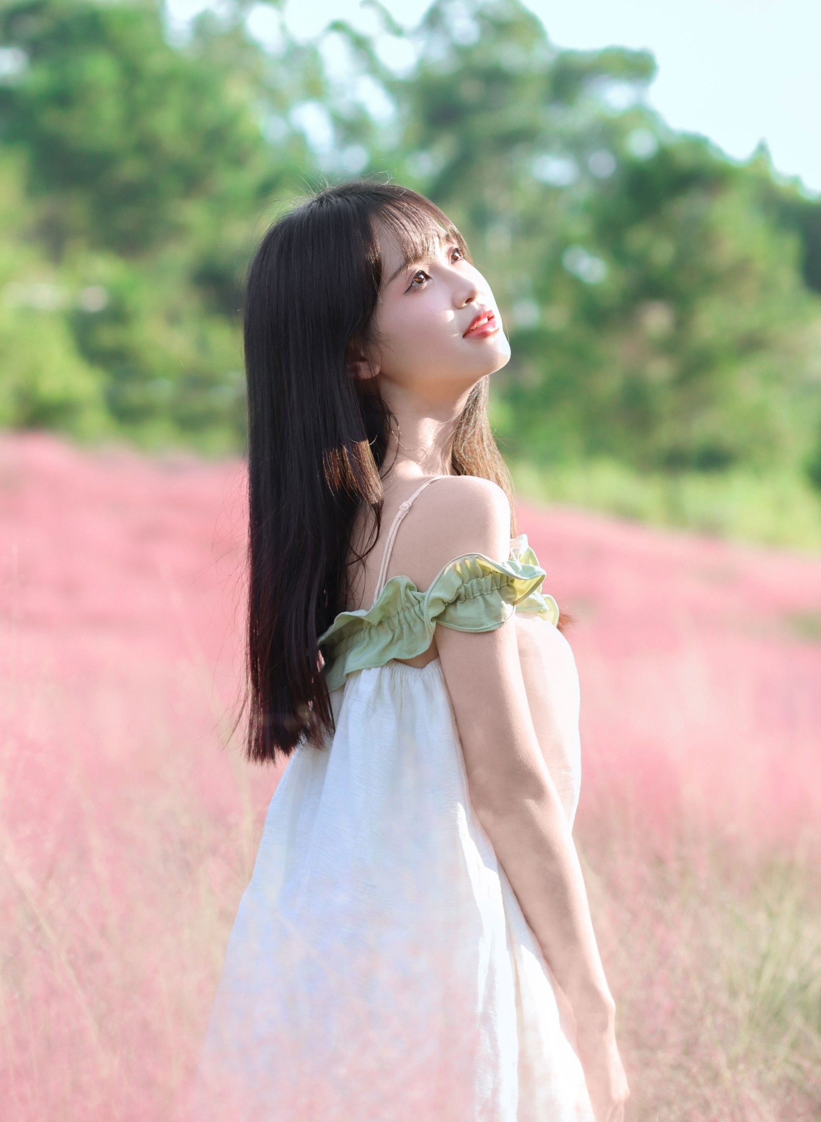 西洋西洋菜 - 《粉色花海》[15P]