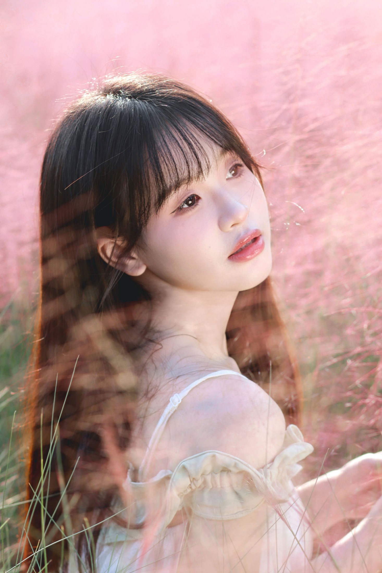 西洋西洋菜 - 《粉色花海》[15P]