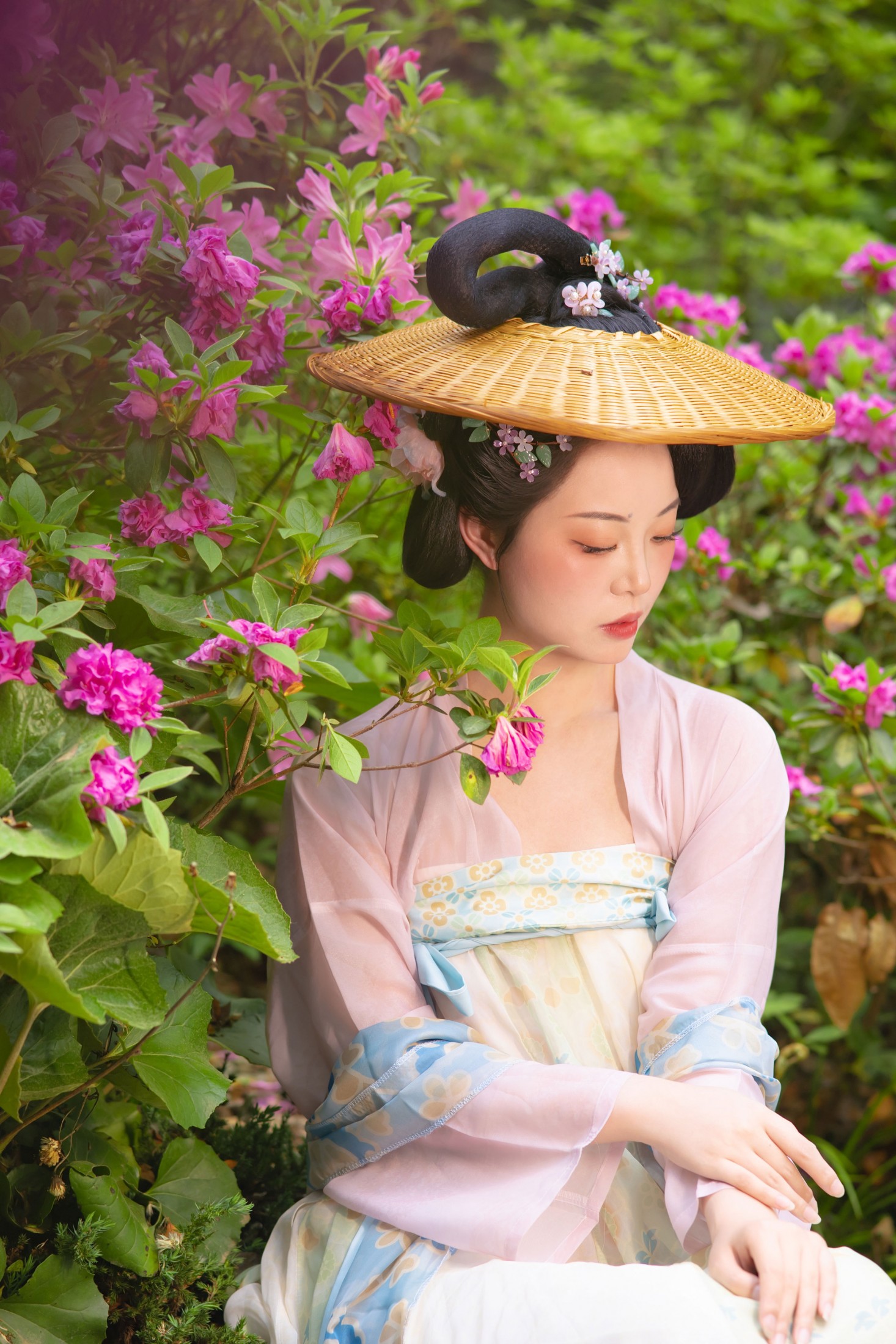 《唐｜待到山花烂漫时》[11P]