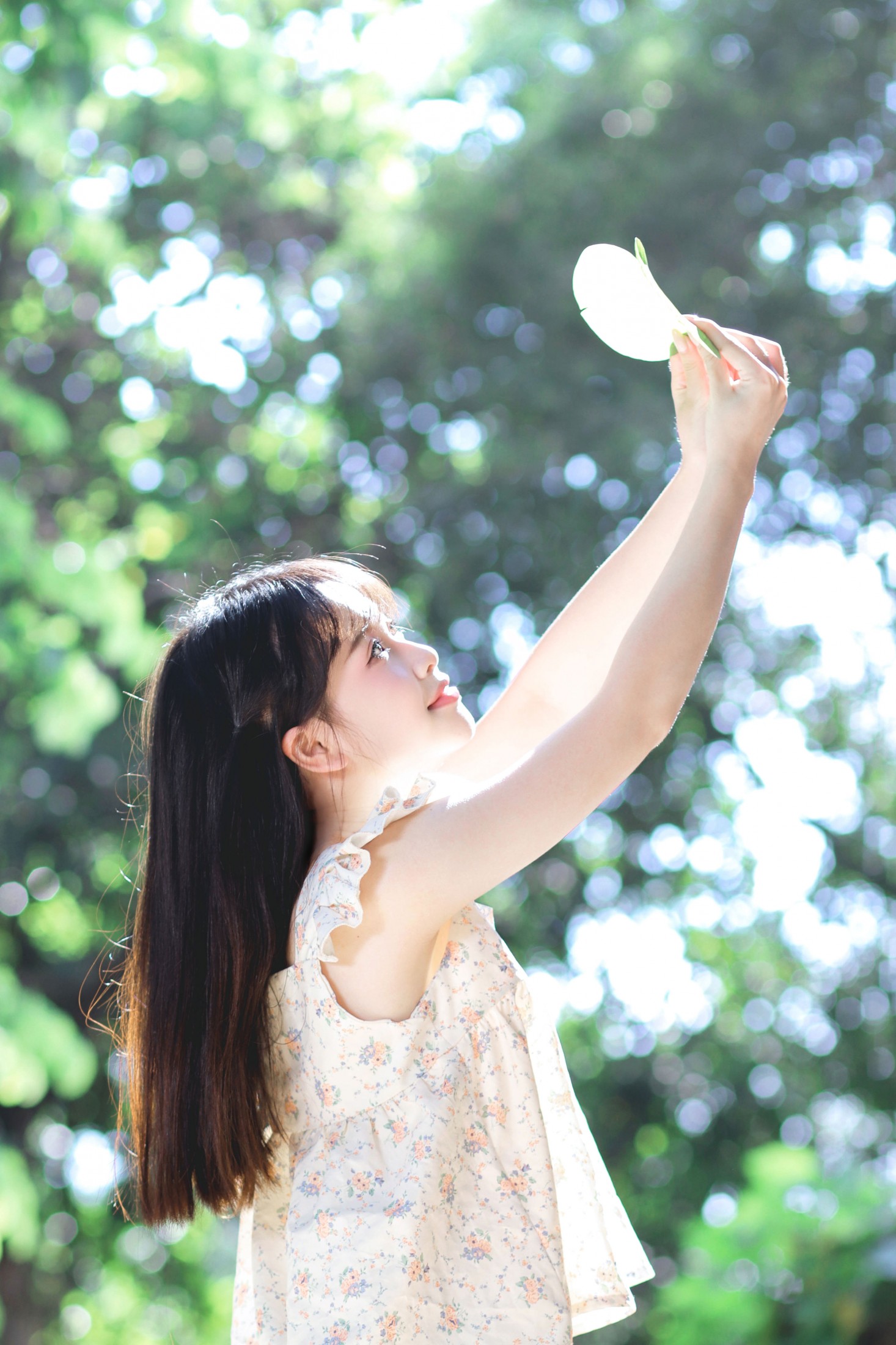 西洋西洋菜 - 《被光偏爱的少女》[21P]