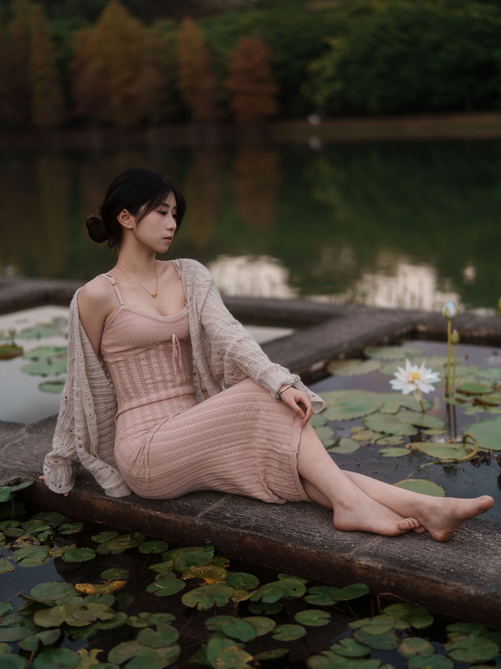 《冬树已红》[33P]