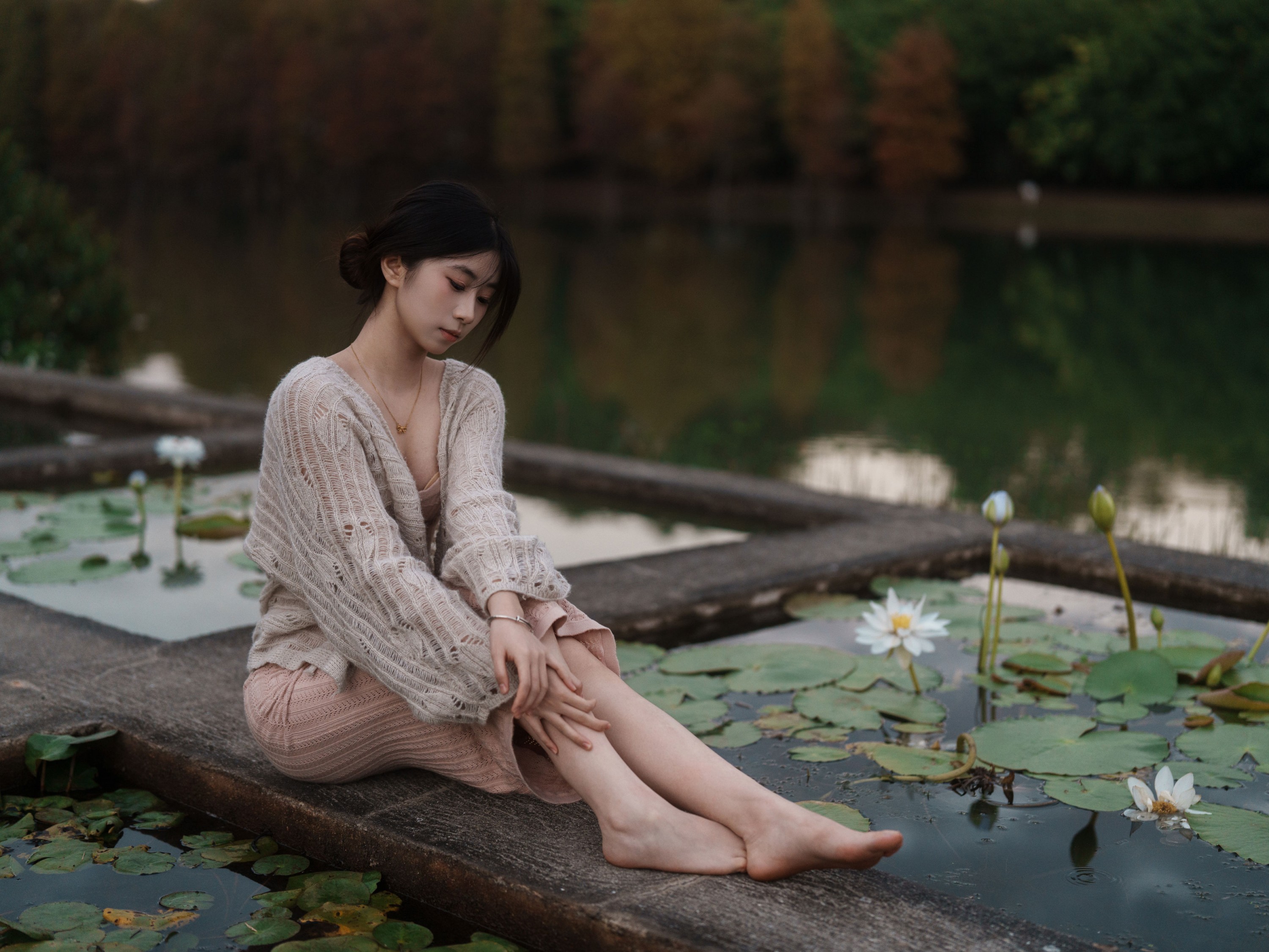 《冬树已红》[33P]