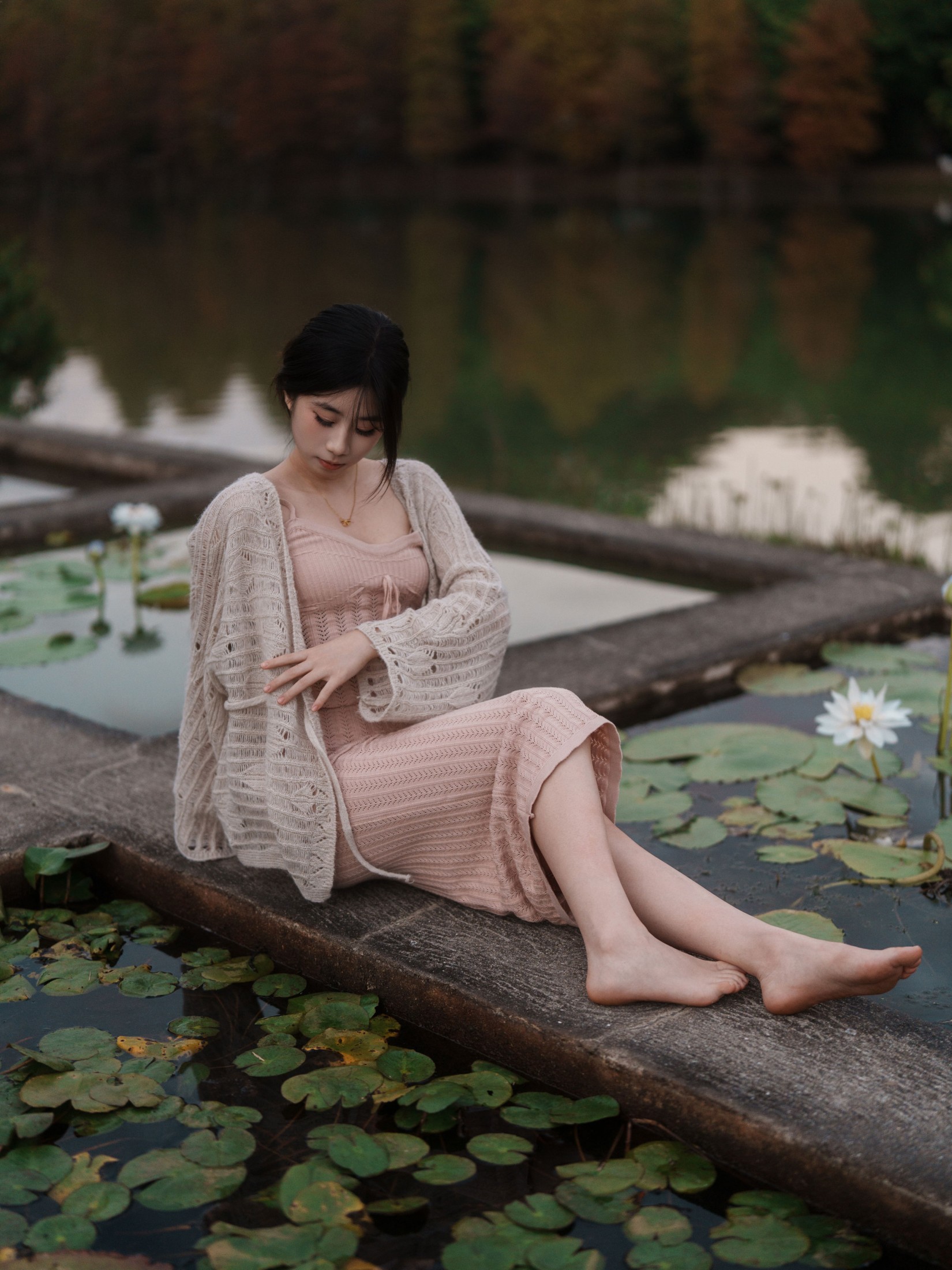 《冬树已红》[33P]