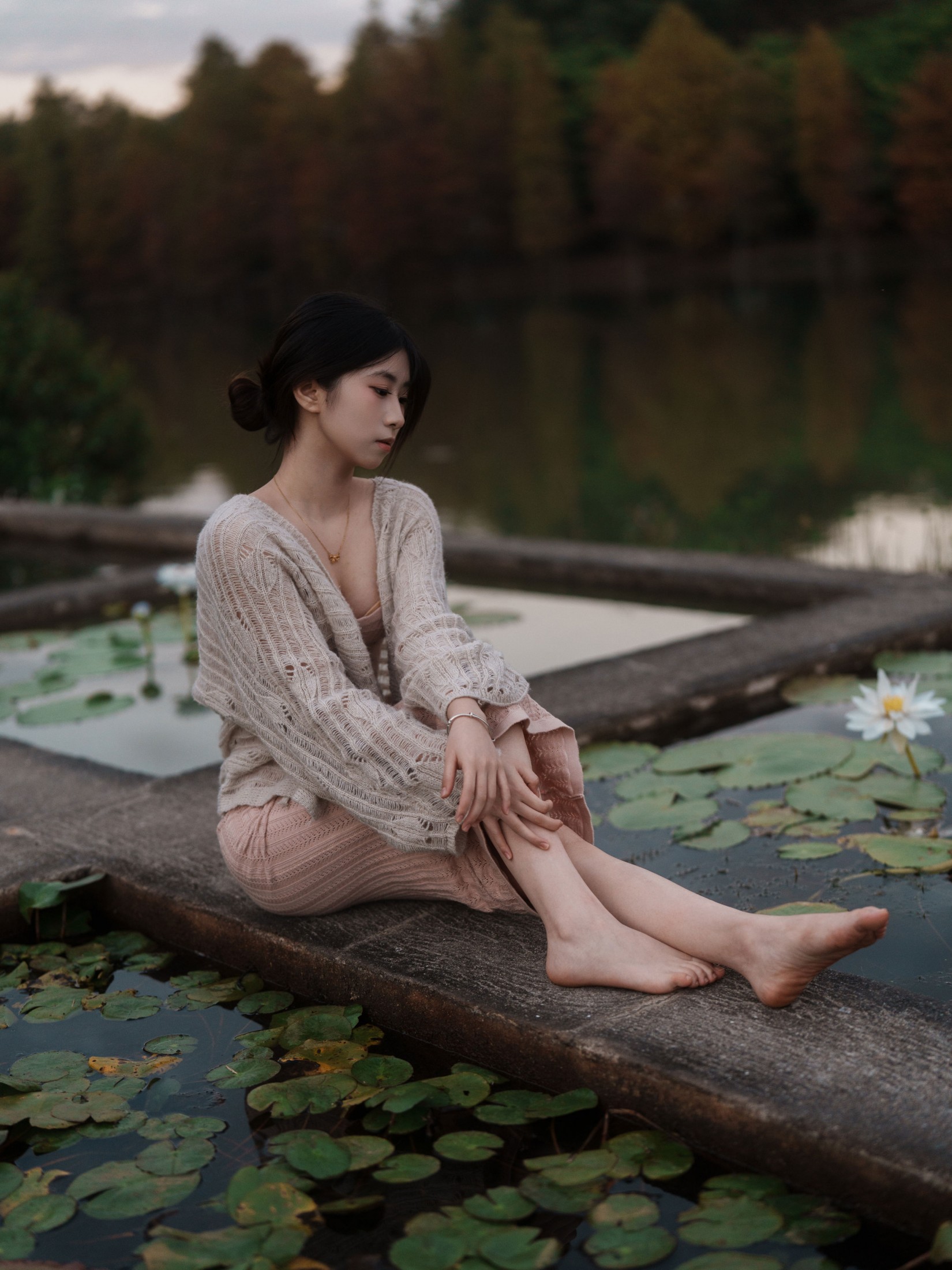 《冬树已红》[33P]