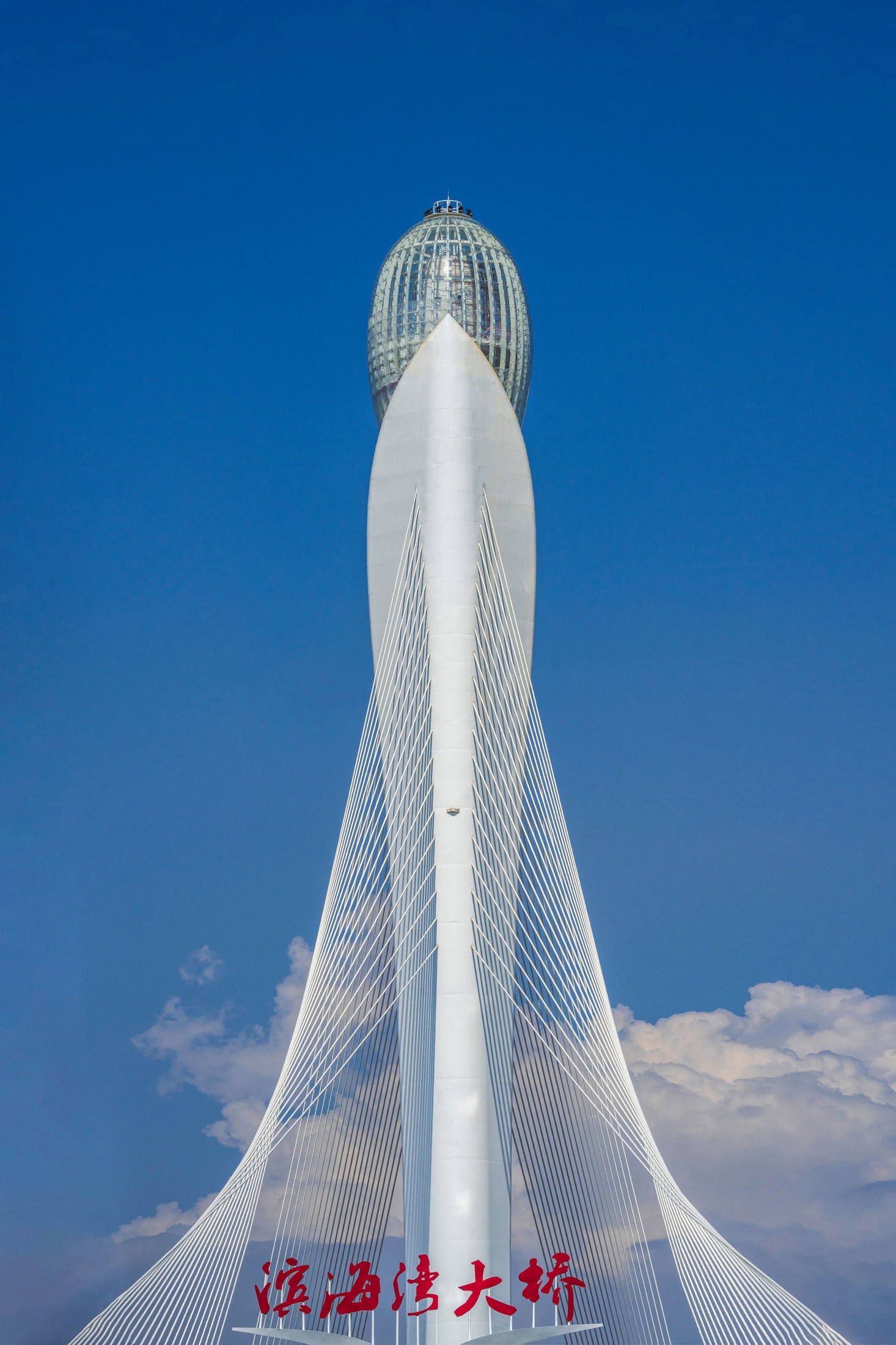 《思路明灯 玉兰花开》[17P]