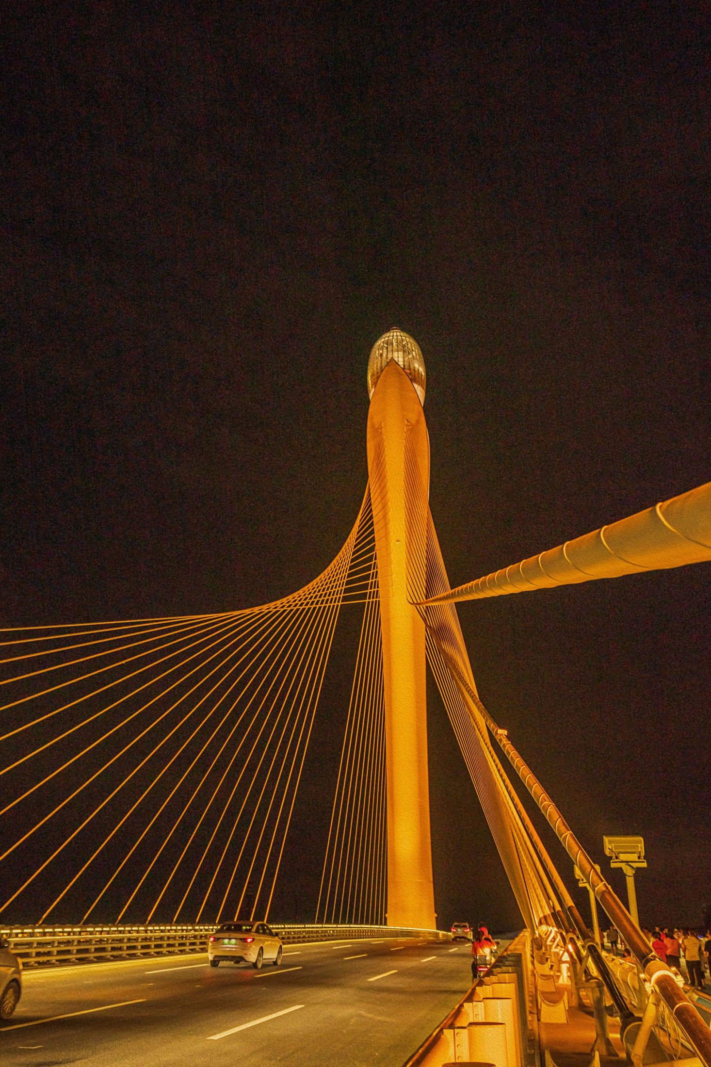 《思路明灯 玉兰花开》[17P]