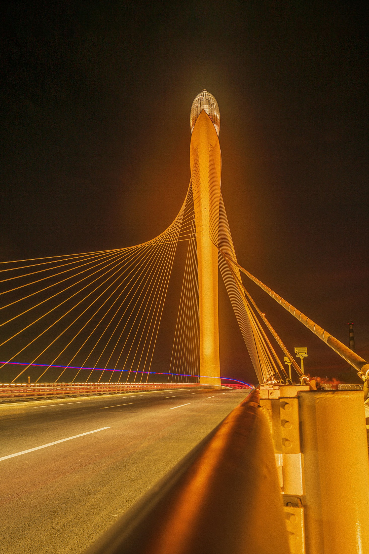 《思路明灯 玉兰花开》[17P]