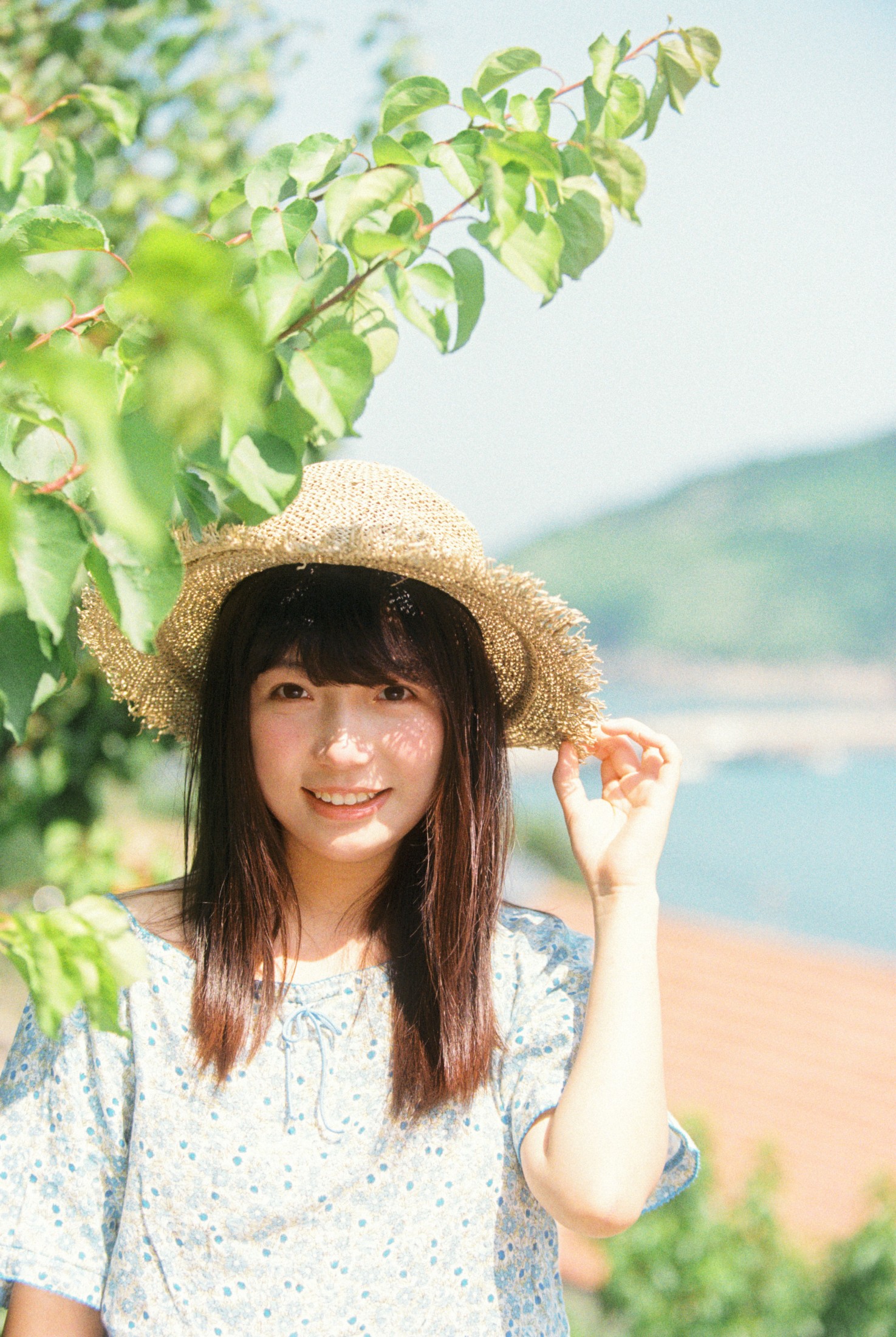 1028 - 《海岛日记》[14P]