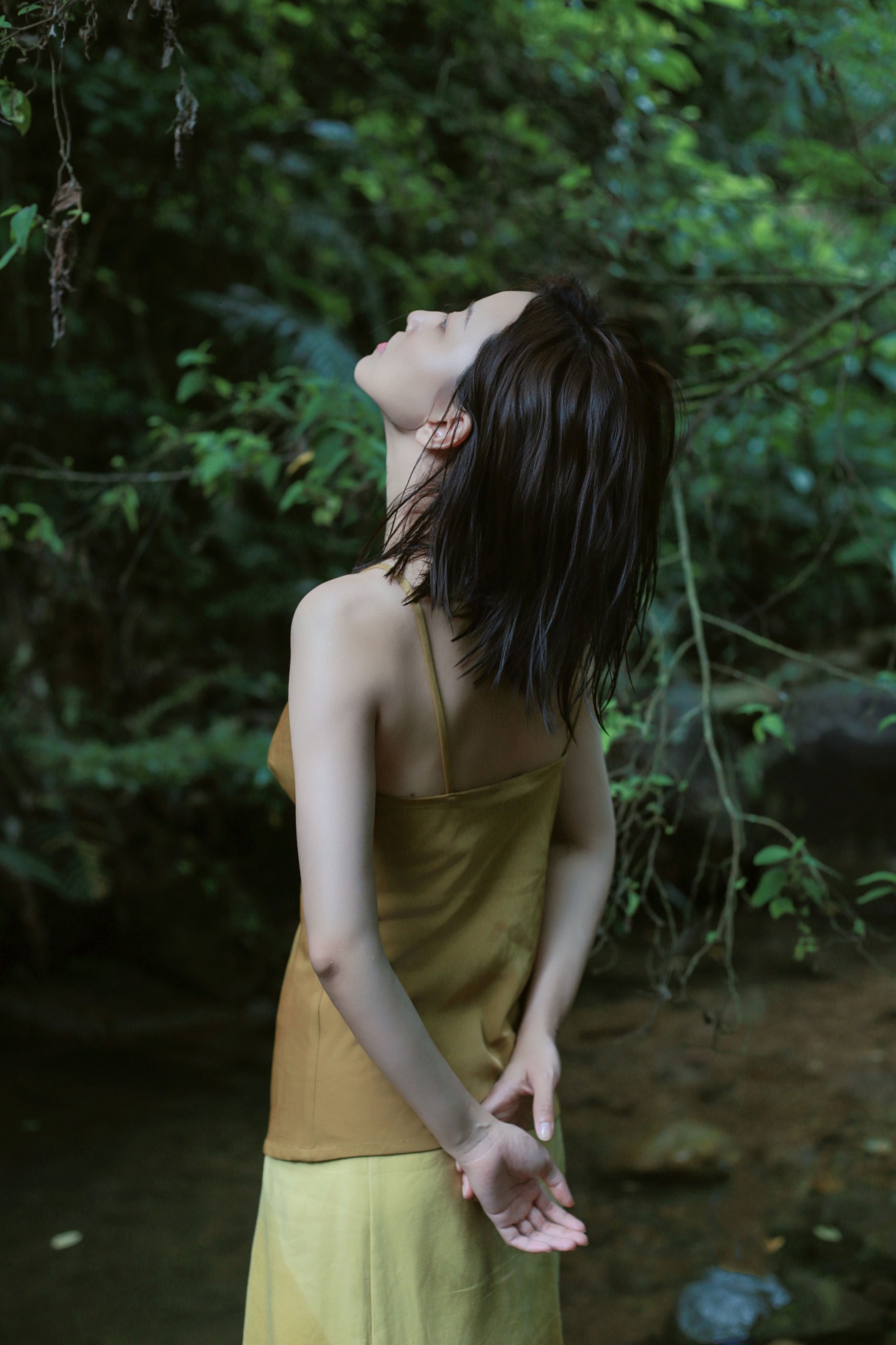 《天竺山的夏》[16P]