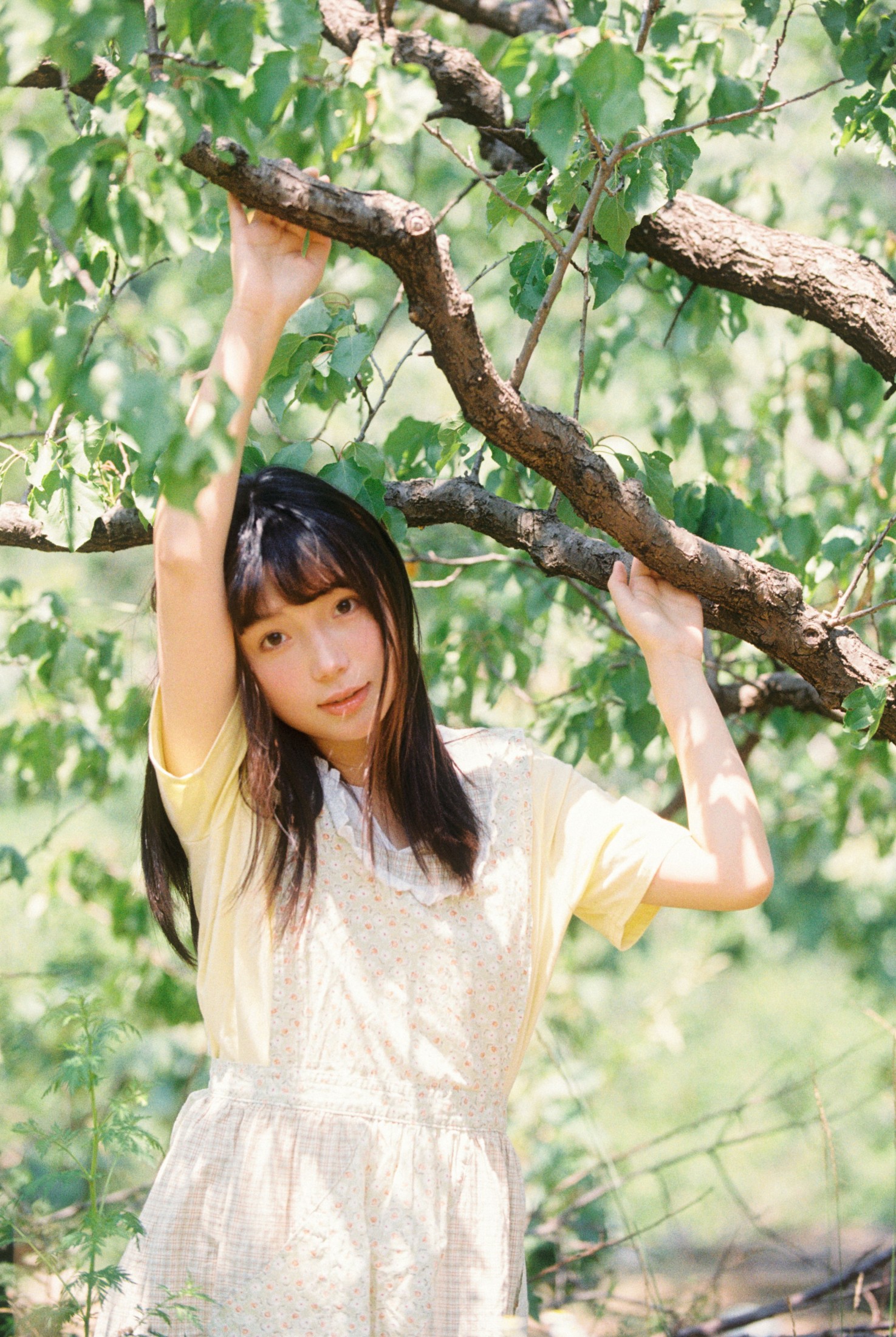 1028 – 《采杏子的女孩》[17P]