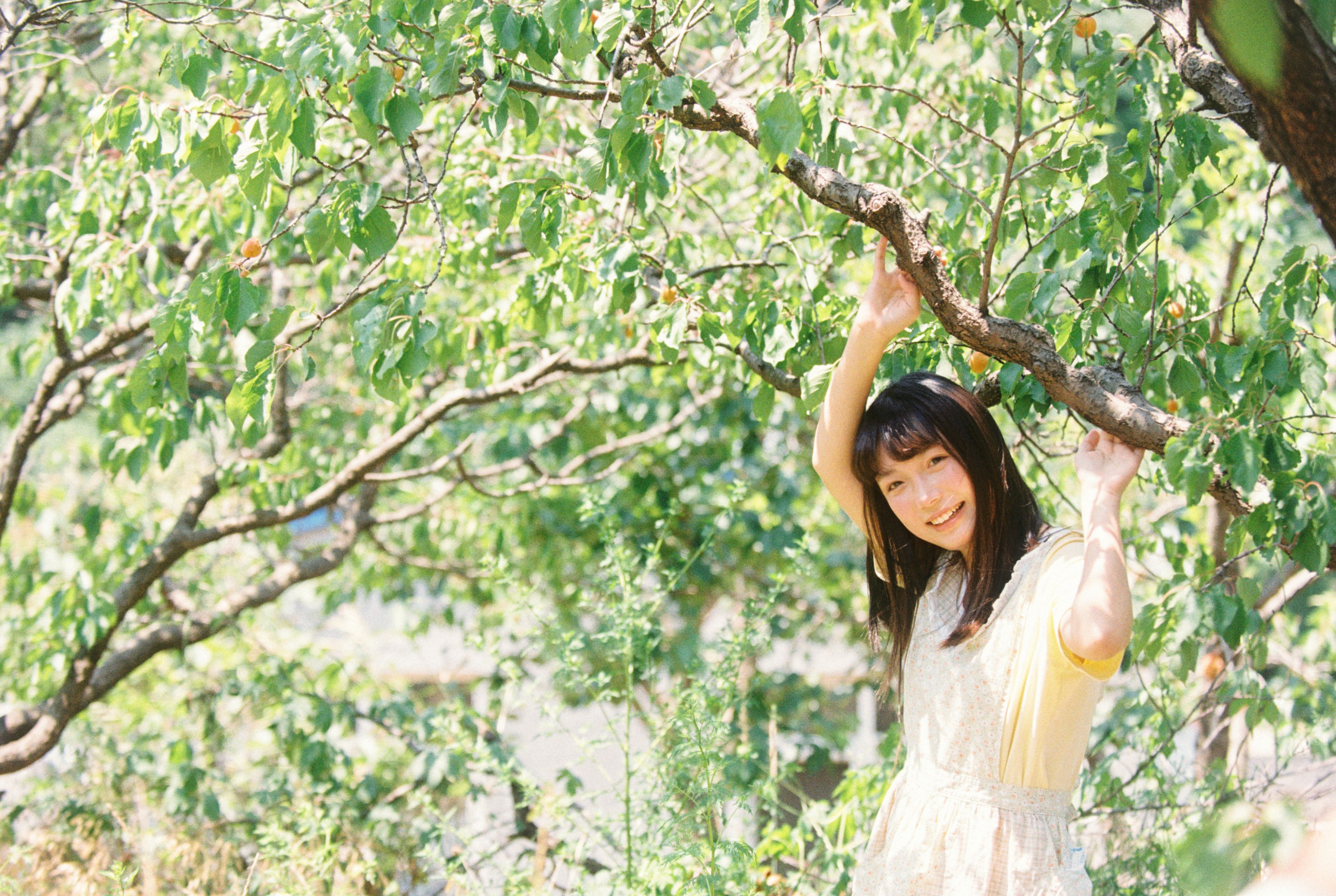 1028 - 《采杏子的女孩》[17P]