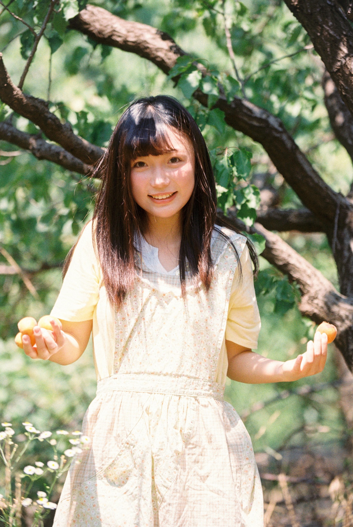 1028 - 《采杏子的女孩》[17P]