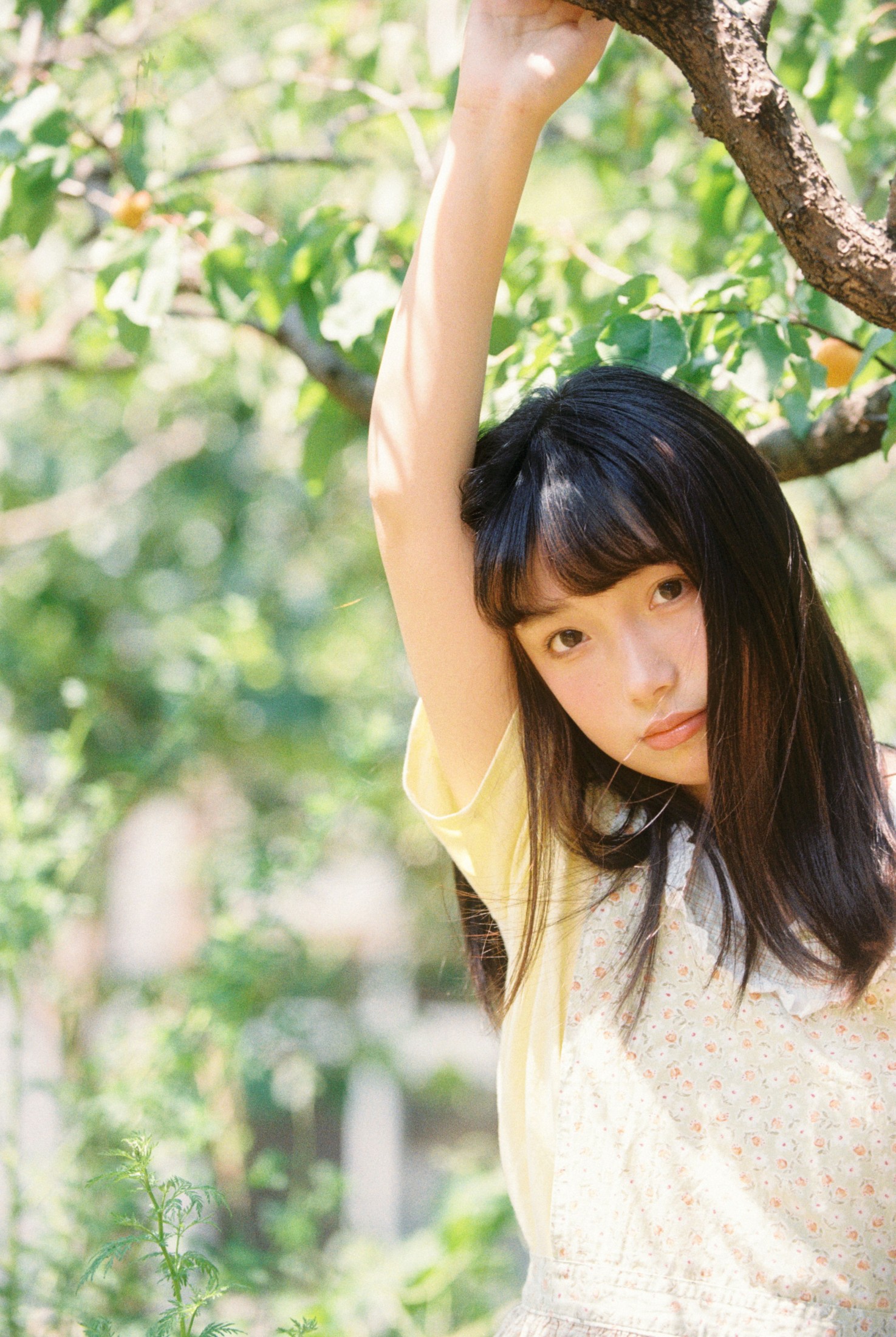 1028 - 《采杏子的女孩》[17P]