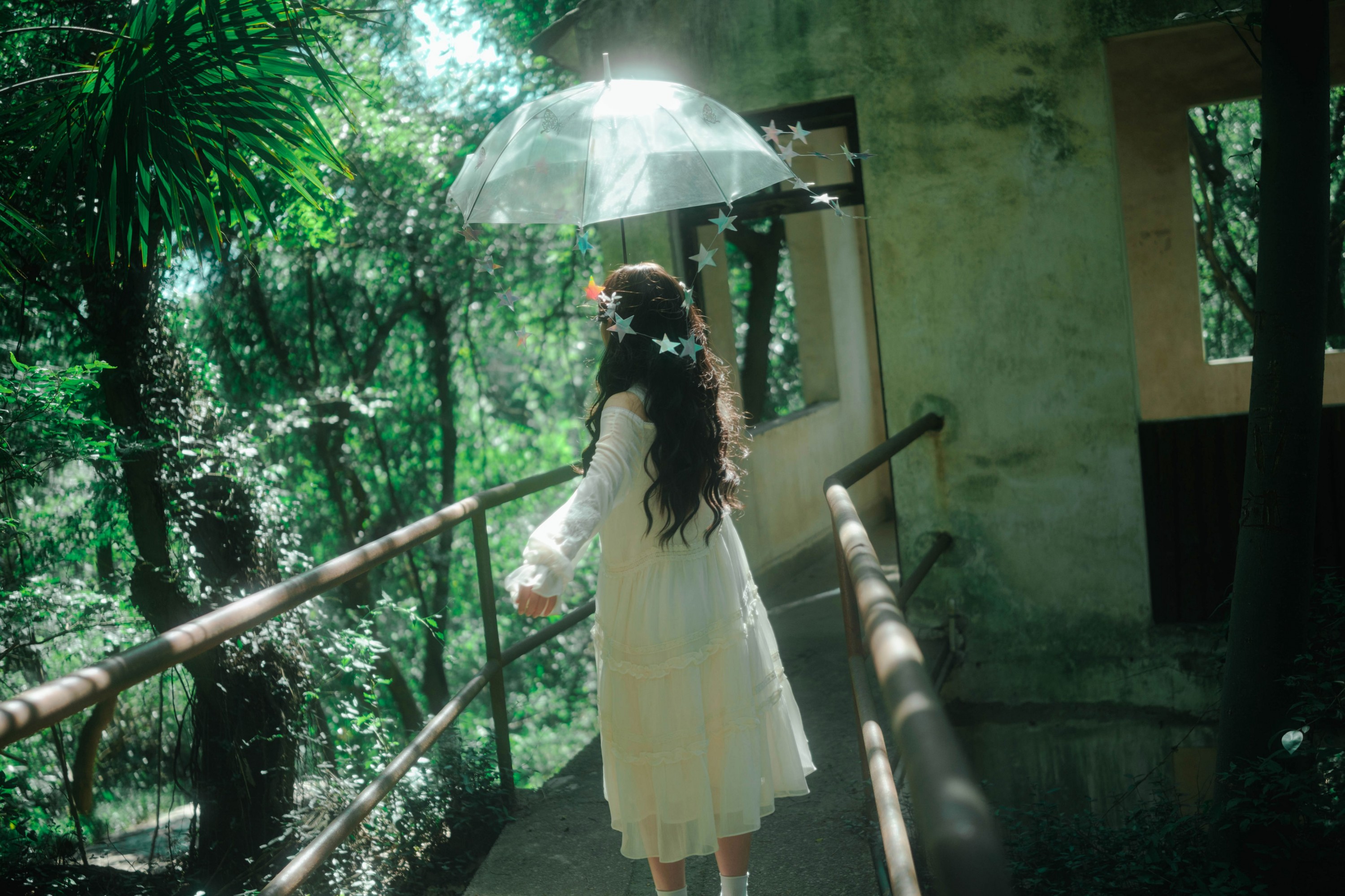 《森林的梦幻精灵》[17P]