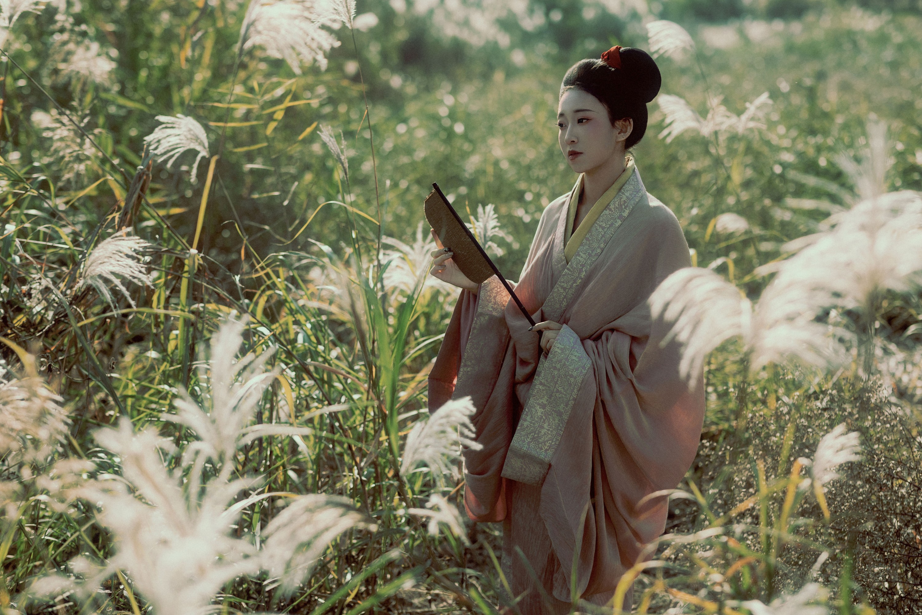 辞安 - 《蒹葭苍苍》[31P]