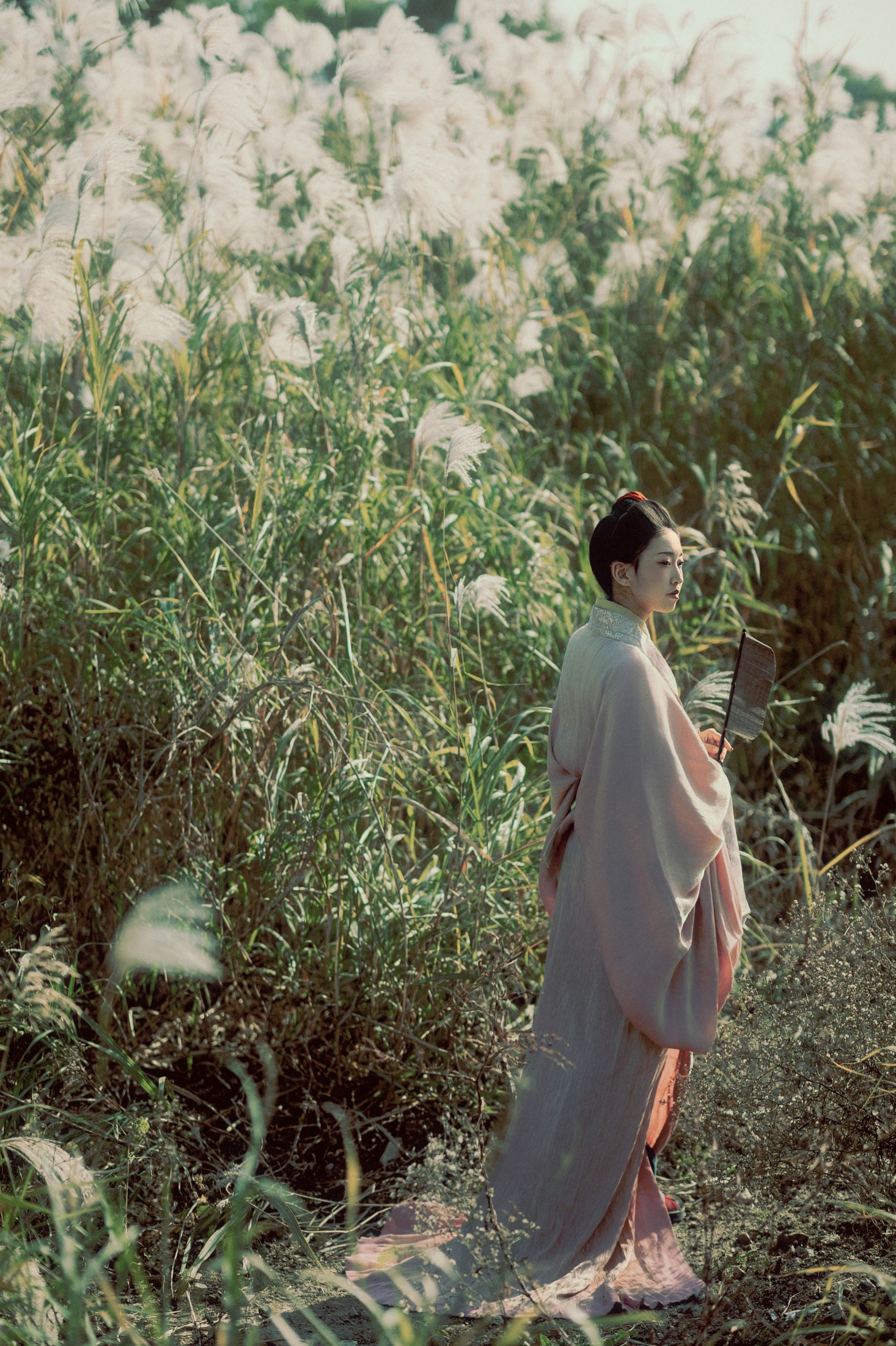 辞安 - 《蒹葭苍苍》[31P]