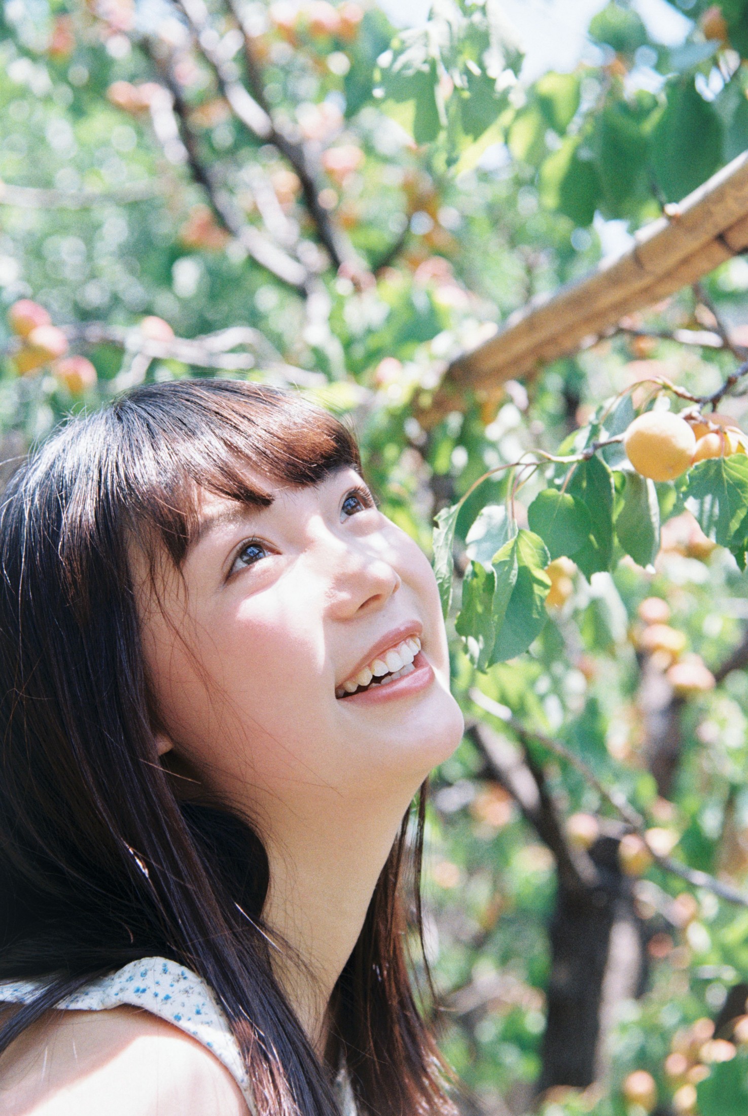 1028 – 《昨日乡村一日游》[26P]