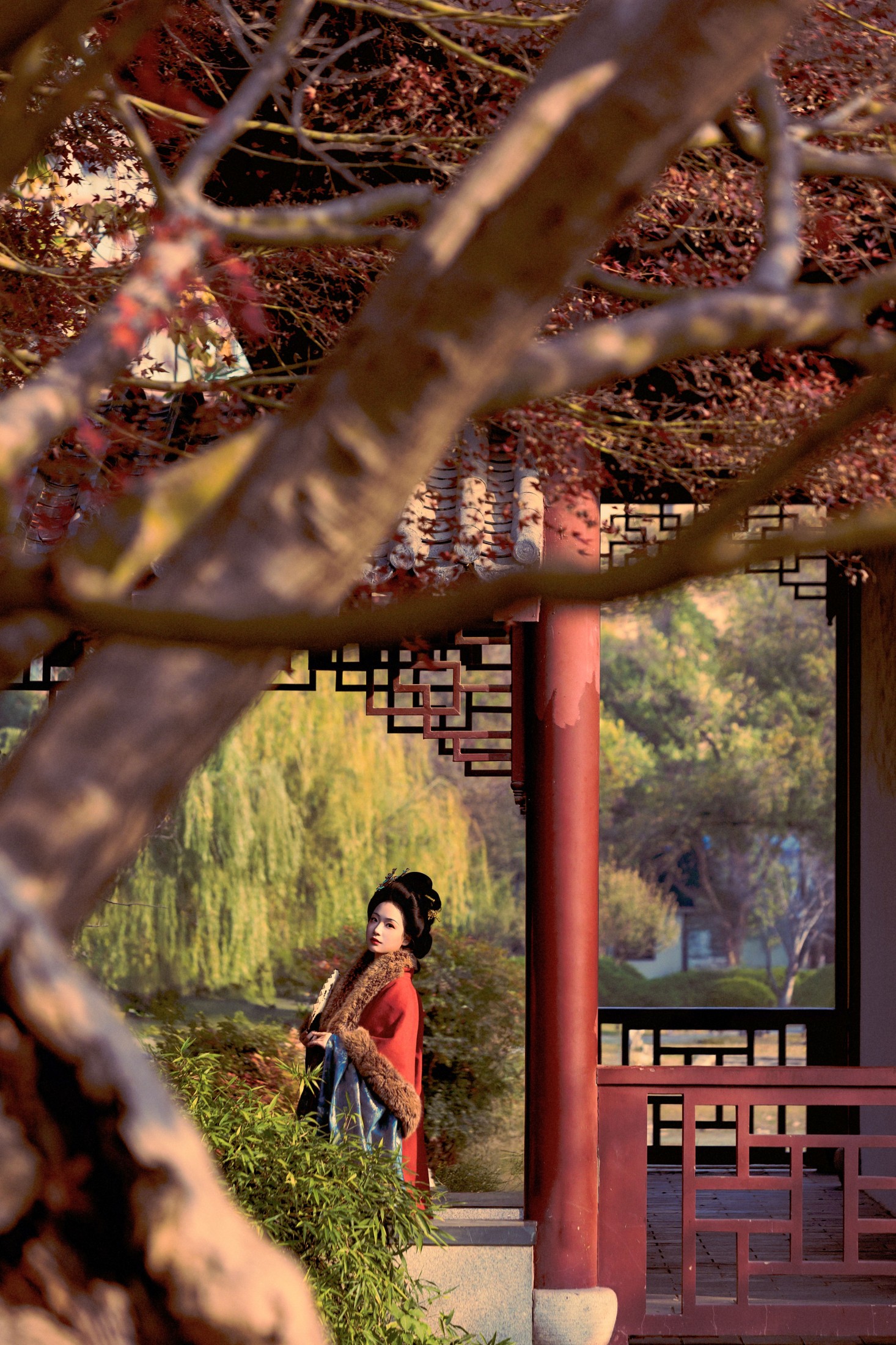 xxSilver - 《故园丹枫》[25P]