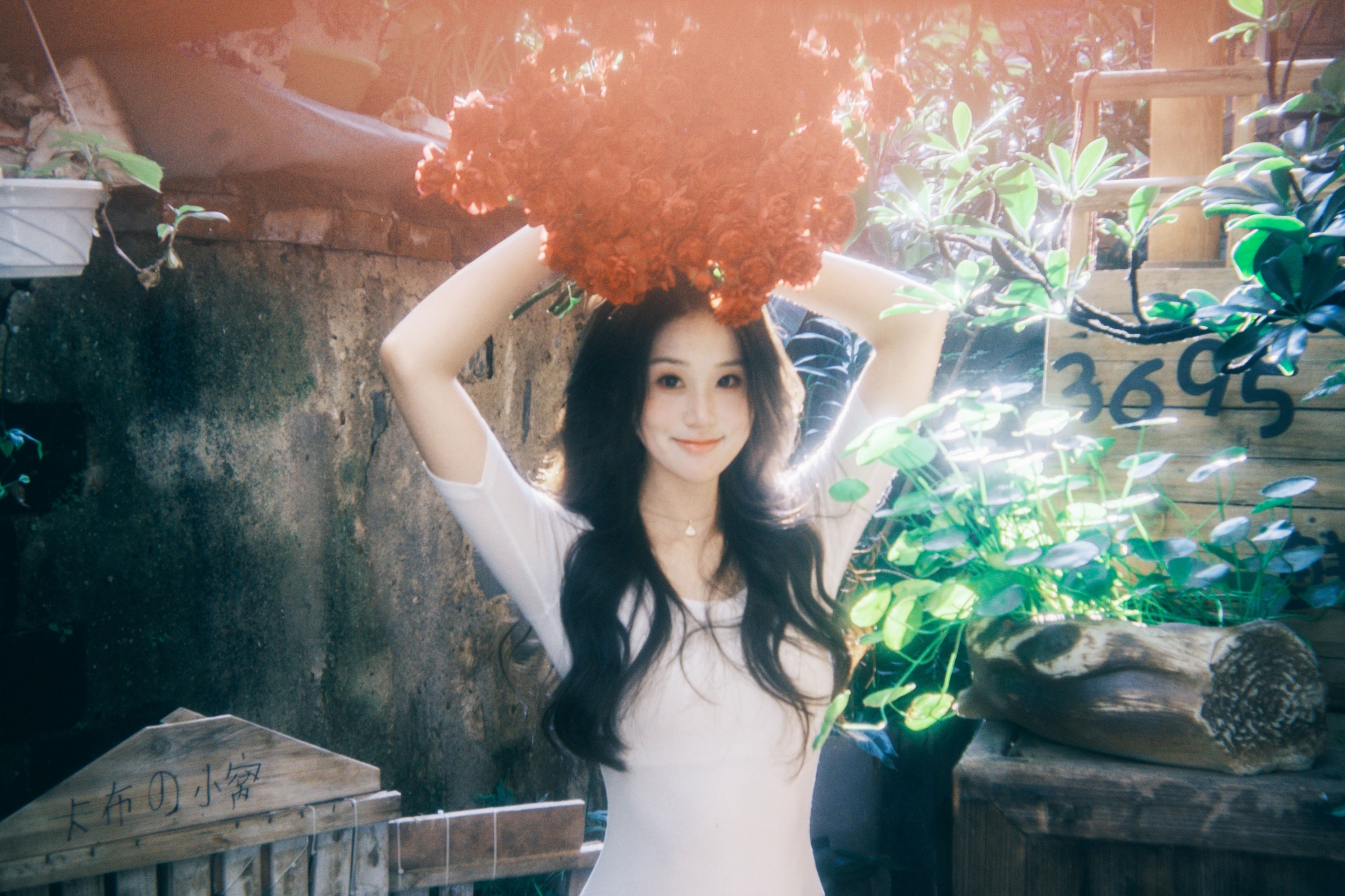 《老小区拍的氛围感》[22P]