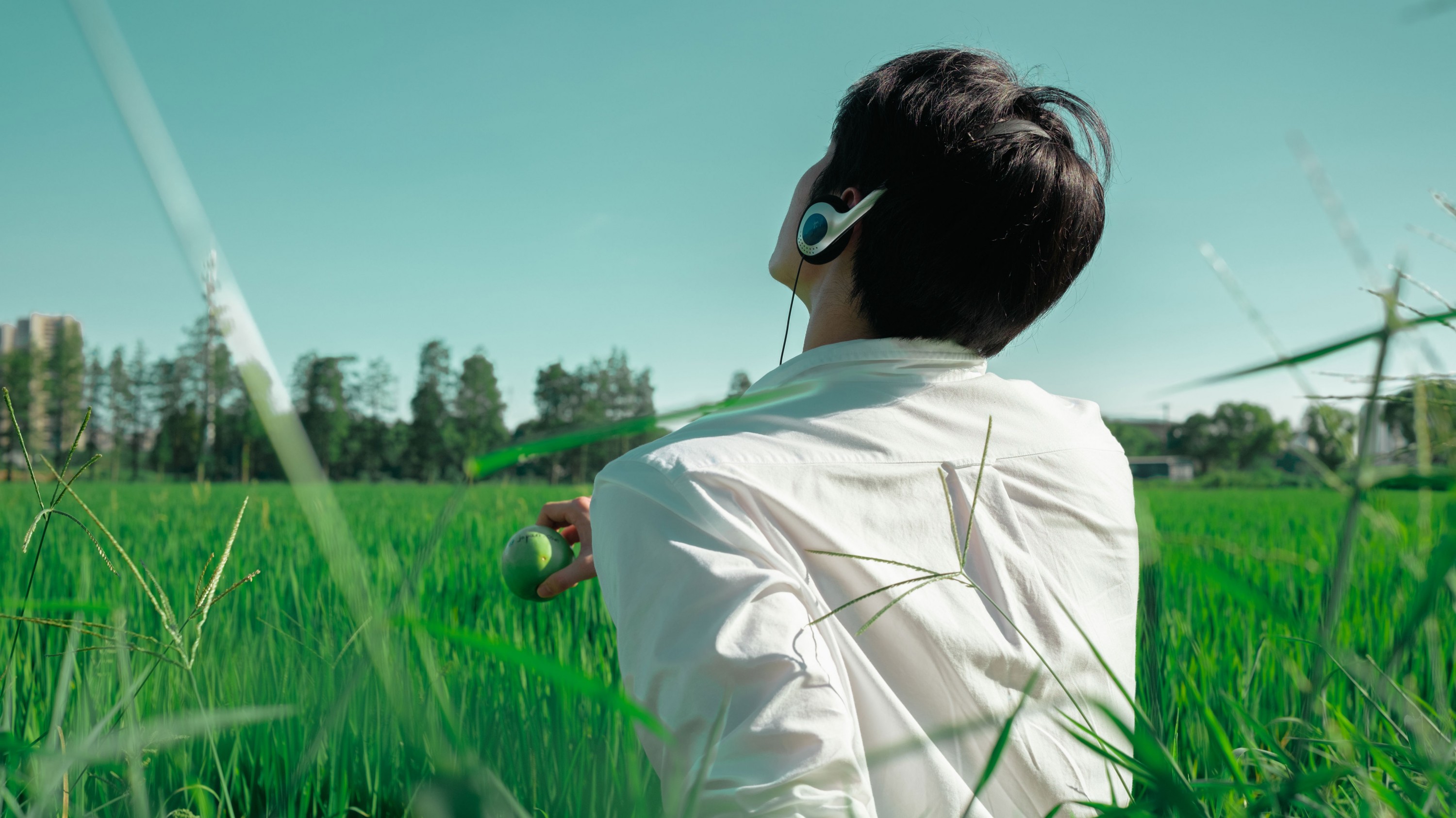 《水稻的田园写真》[20P]