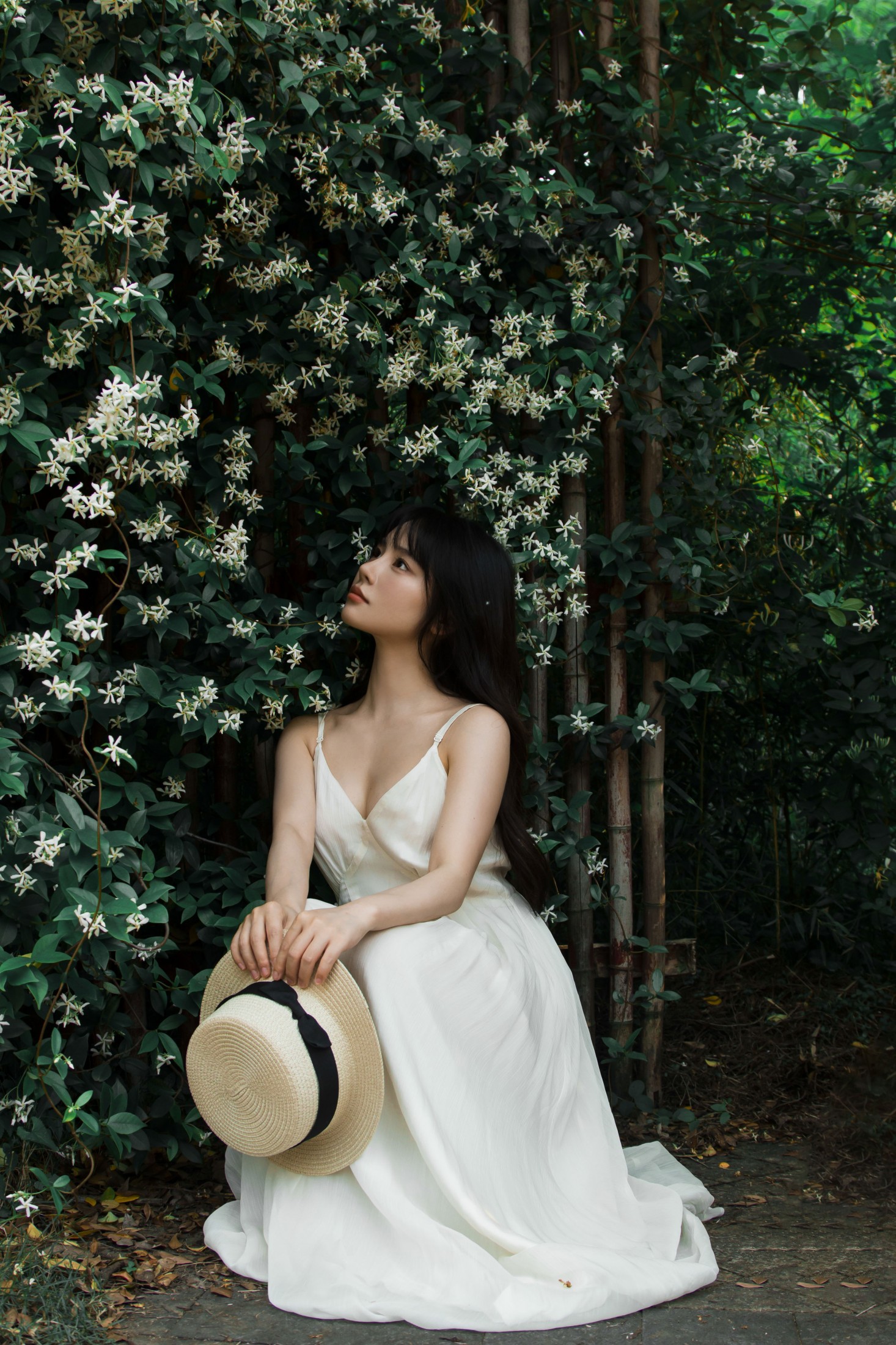 《待我苦涩的眼睛长出春天》[15P]