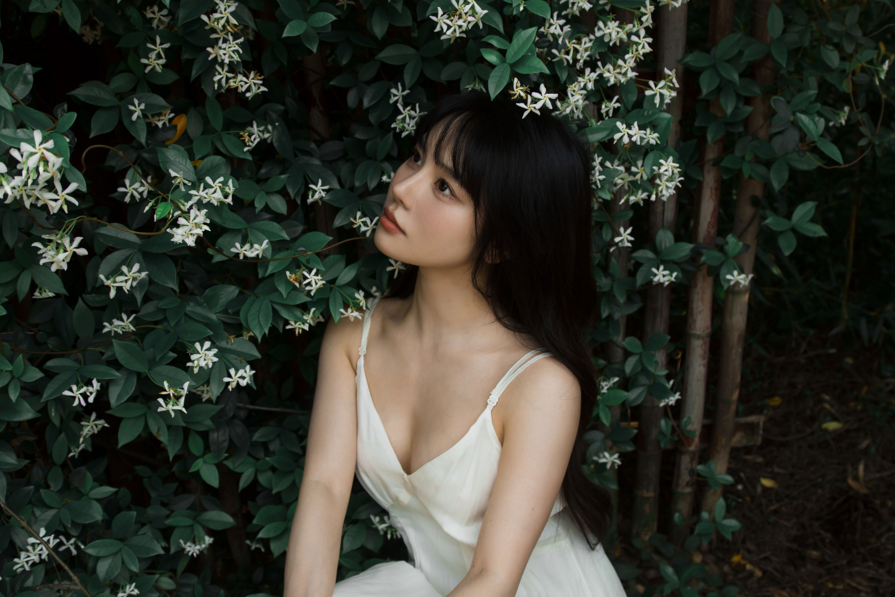 《待我苦涩的眼睛长出春天》[15P]