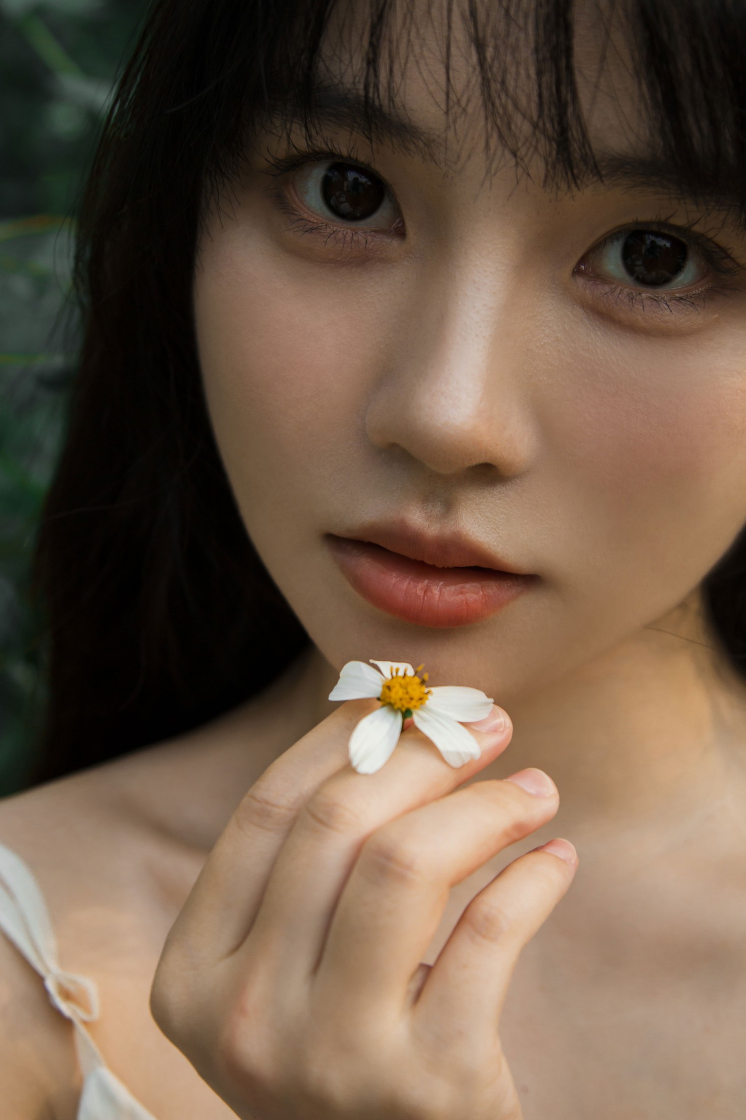 《待我苦涩的眼睛长出春天》[15P]