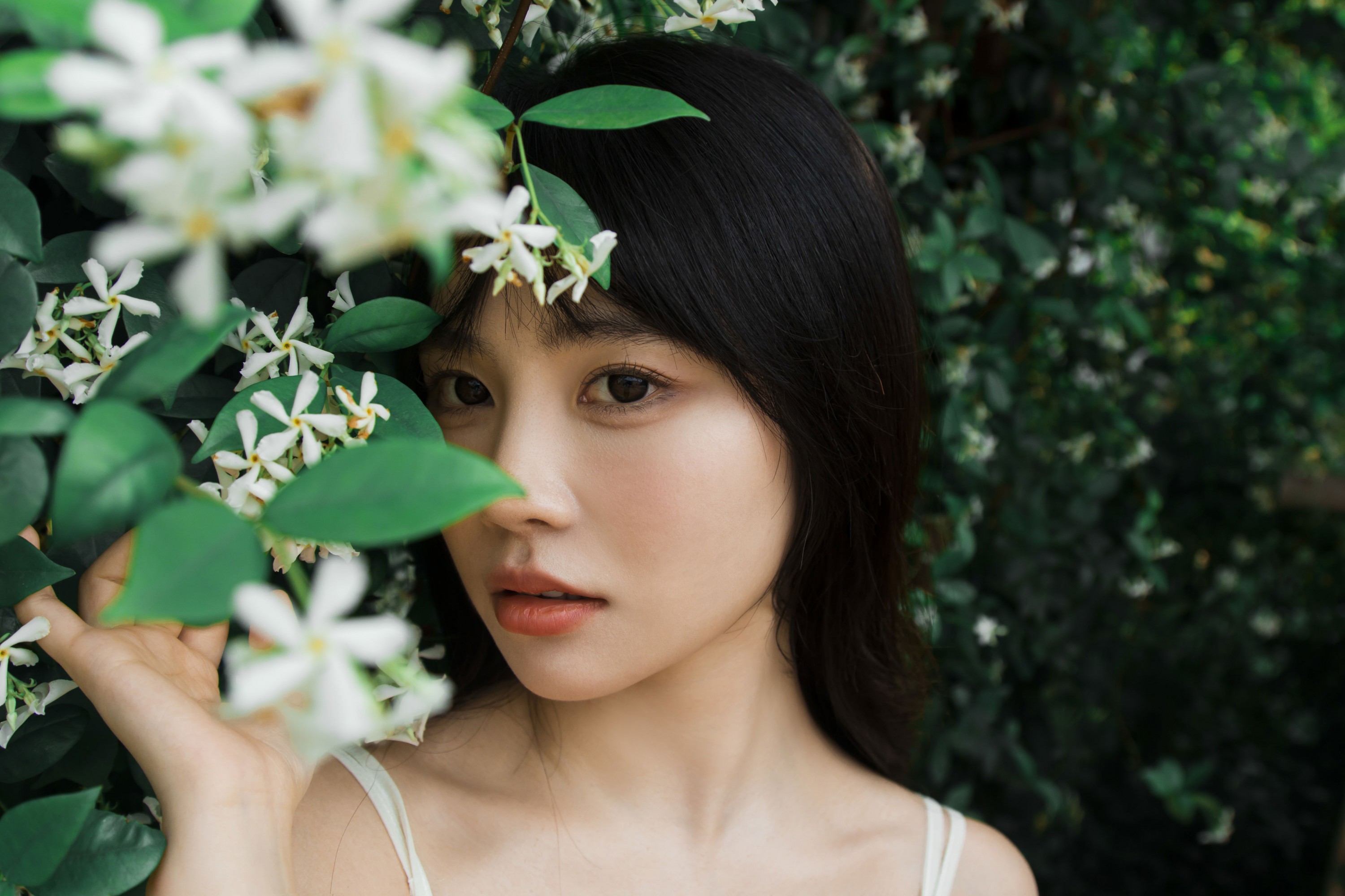 《待我苦涩的眼睛长出春天》[15P]