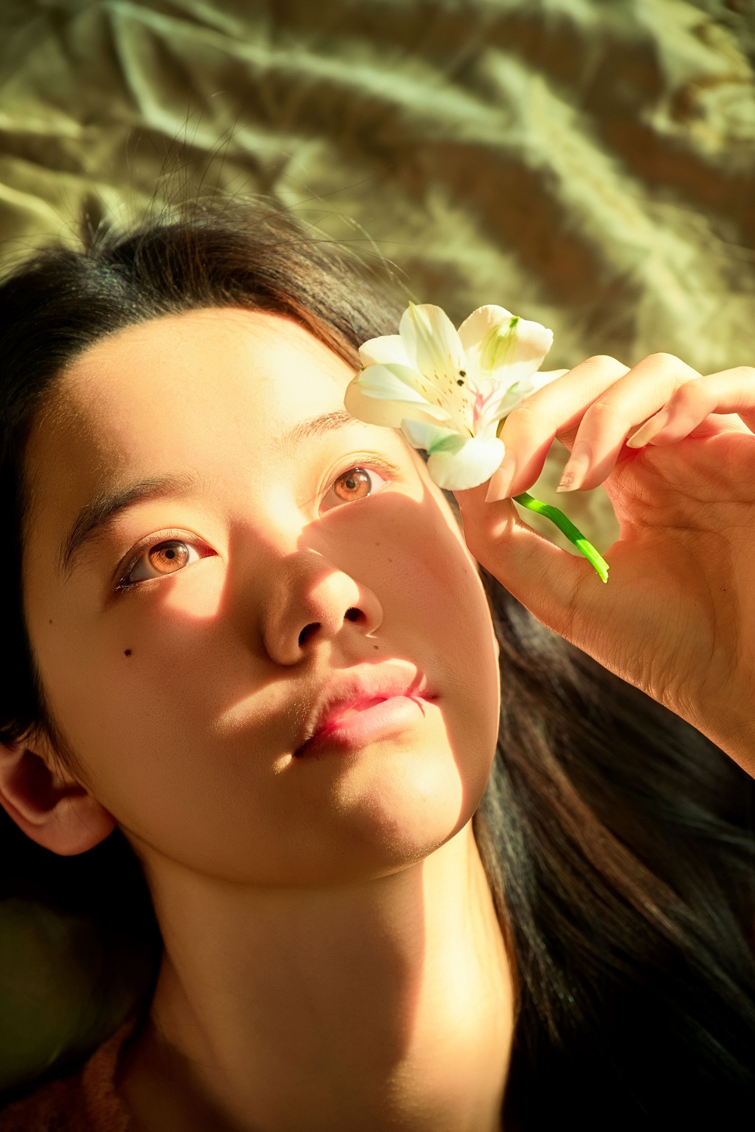 《老房子里的静谧》[55P]