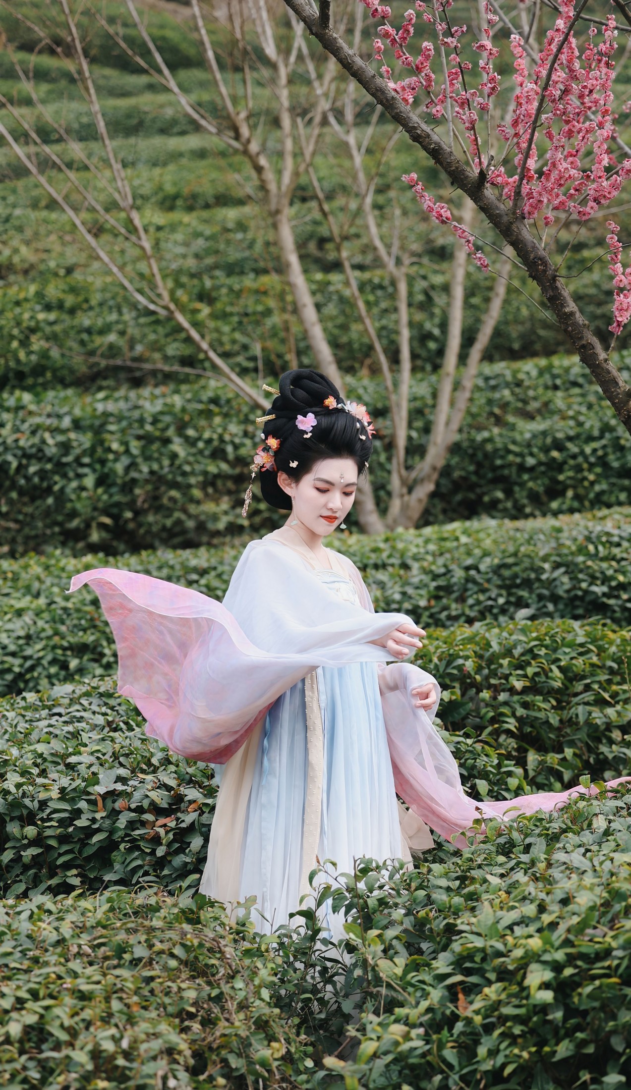 糖糖（竹山） - 《采茶仙子》[35P]