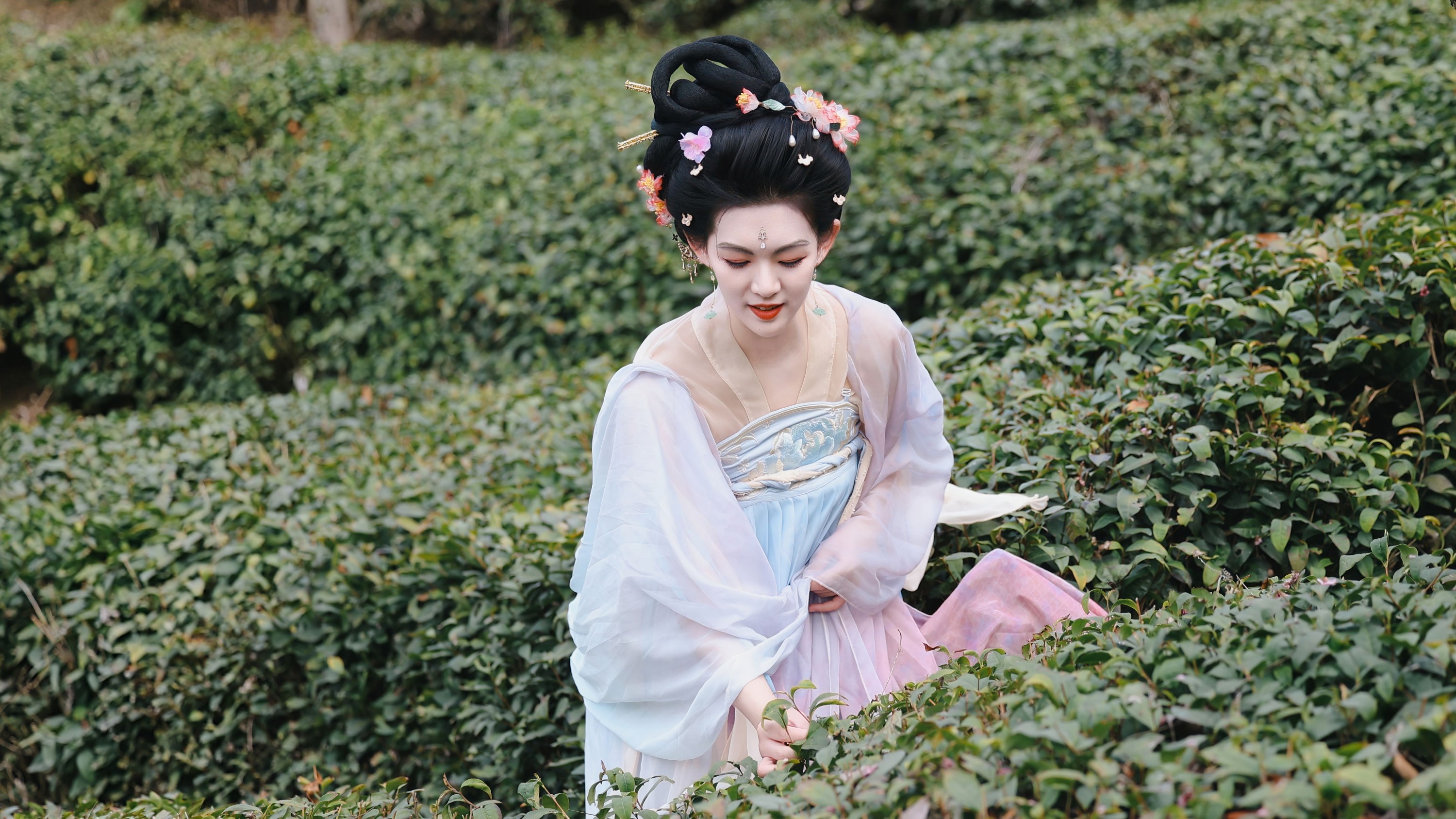 糖糖（竹山） - 《采茶仙子》[35P]