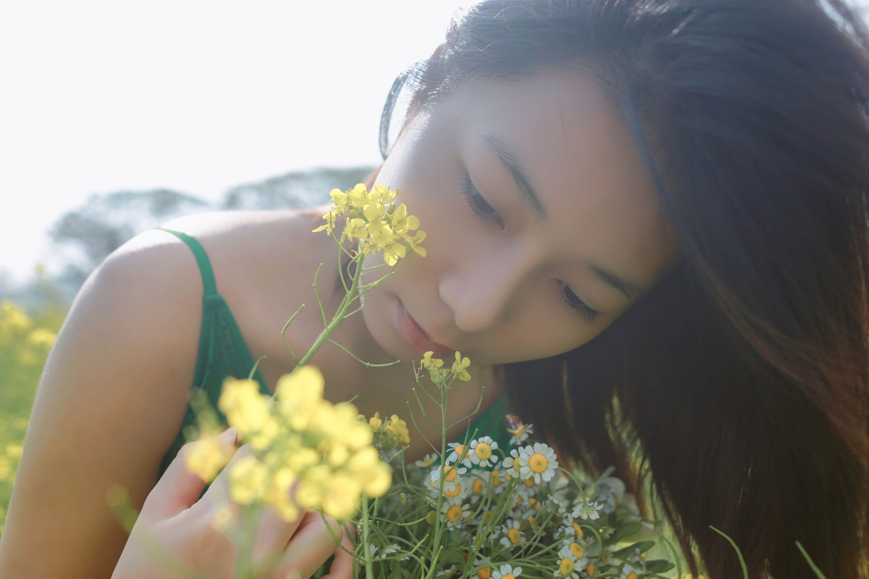 《油菜花》[36P]