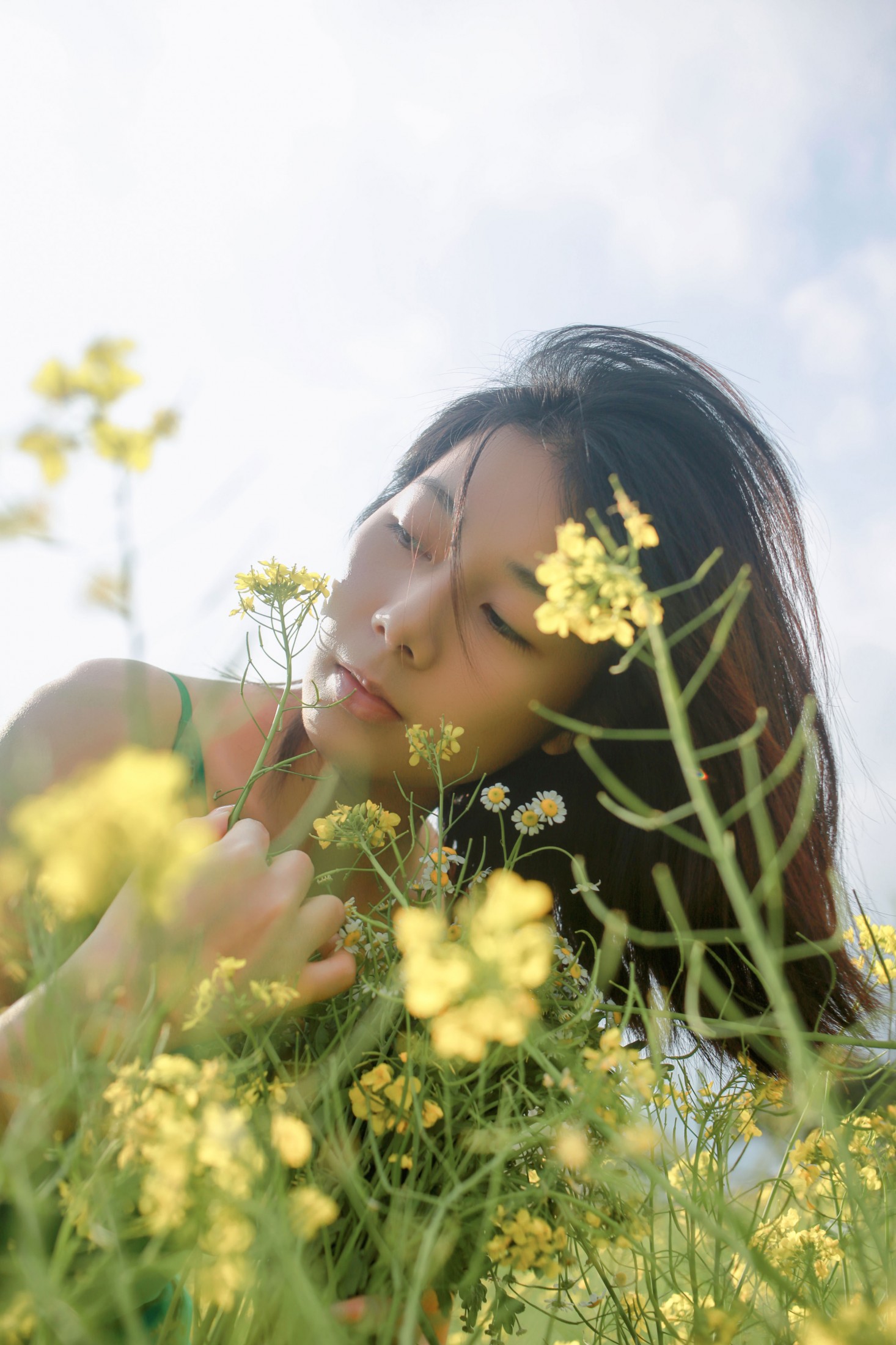 《油菜花》[36P]