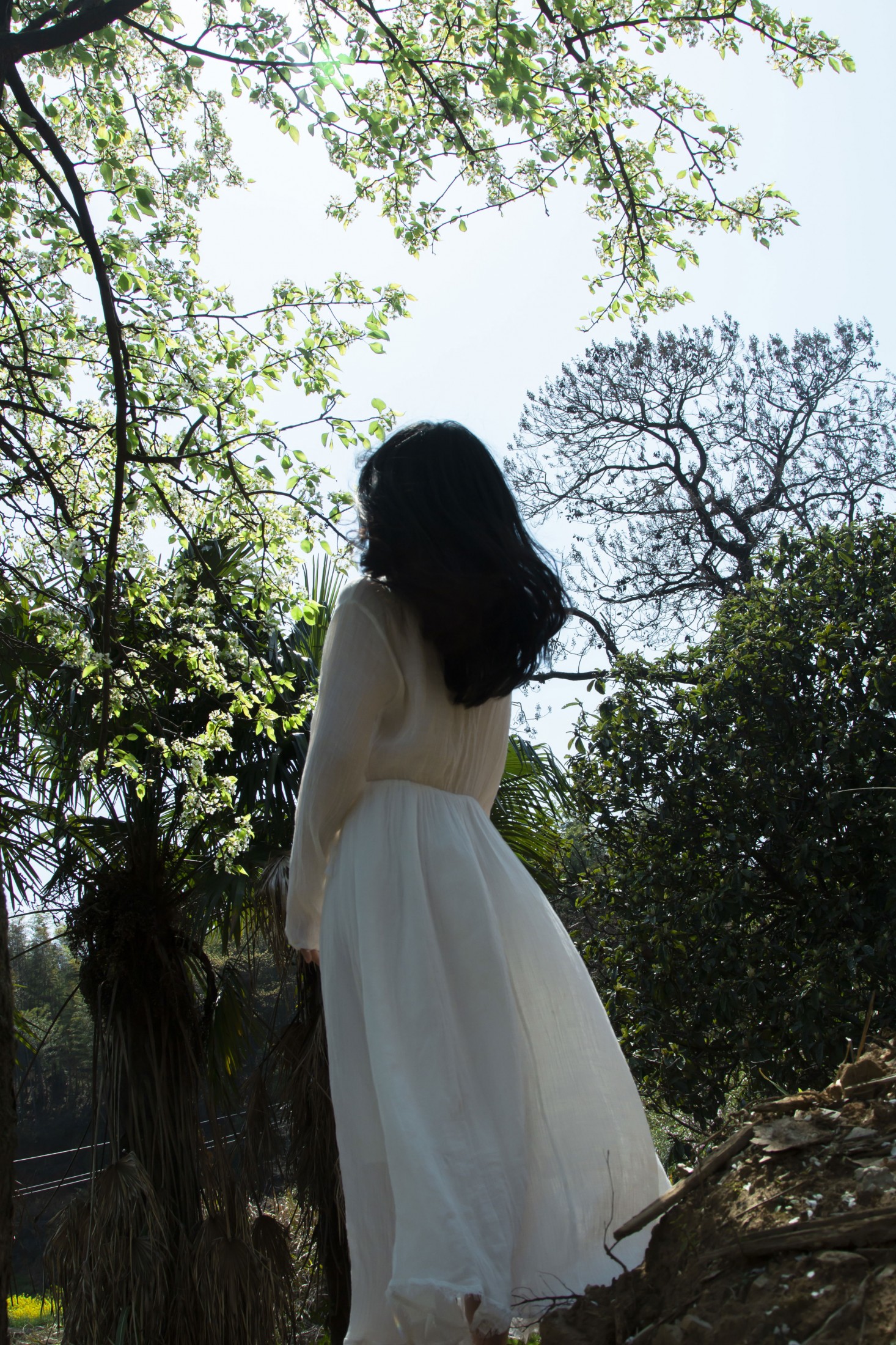 《梨花树下》[40P]