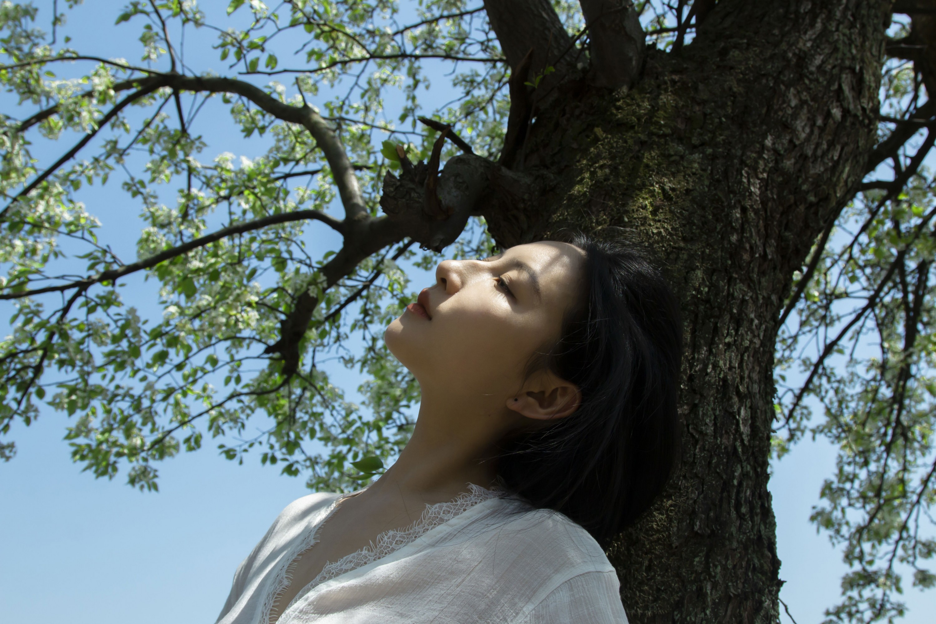 《梨花树下》[40P]