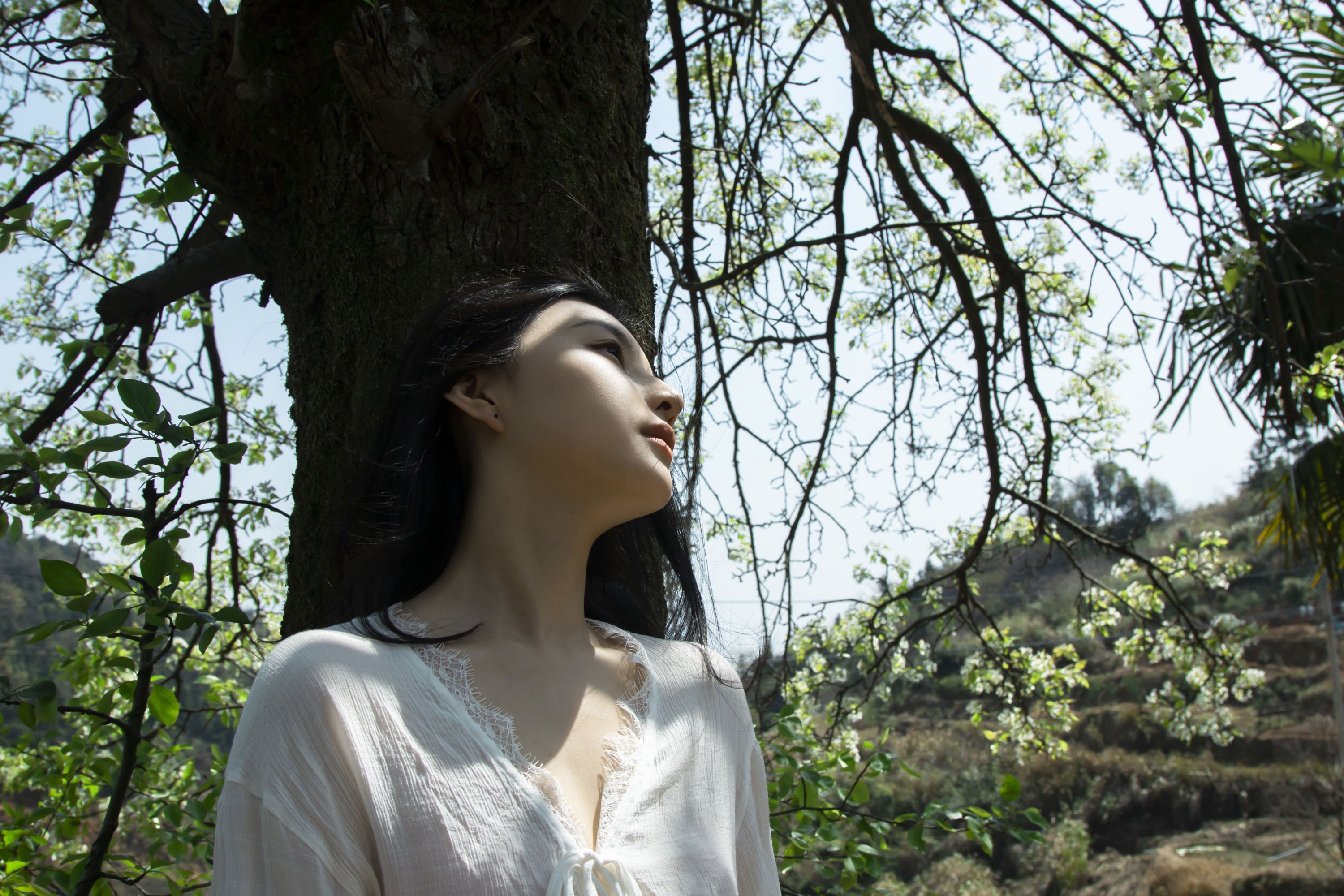 《梨花树下》[40P]