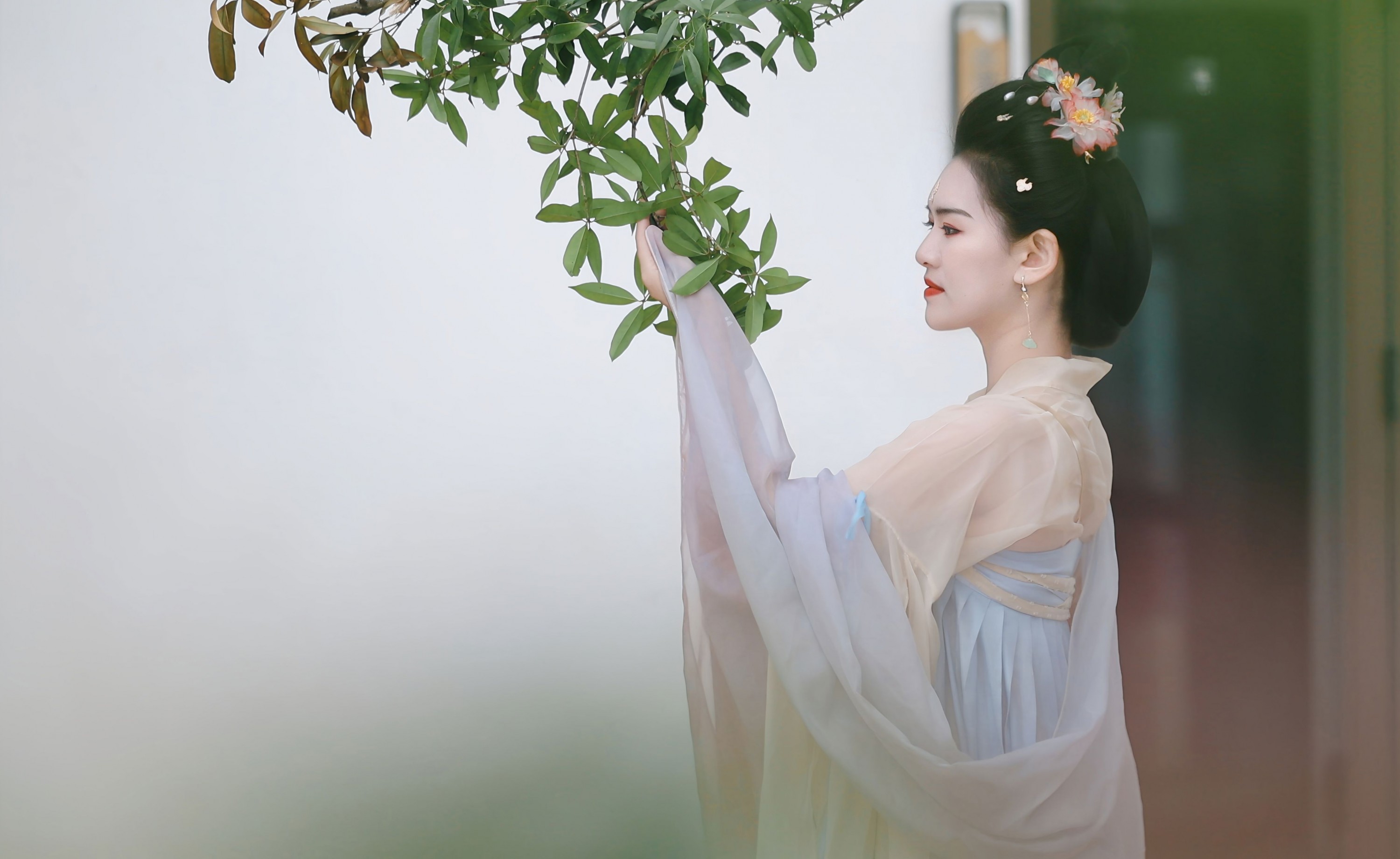 糖糖（竹山） - 《翩若惊鸿》[24P]