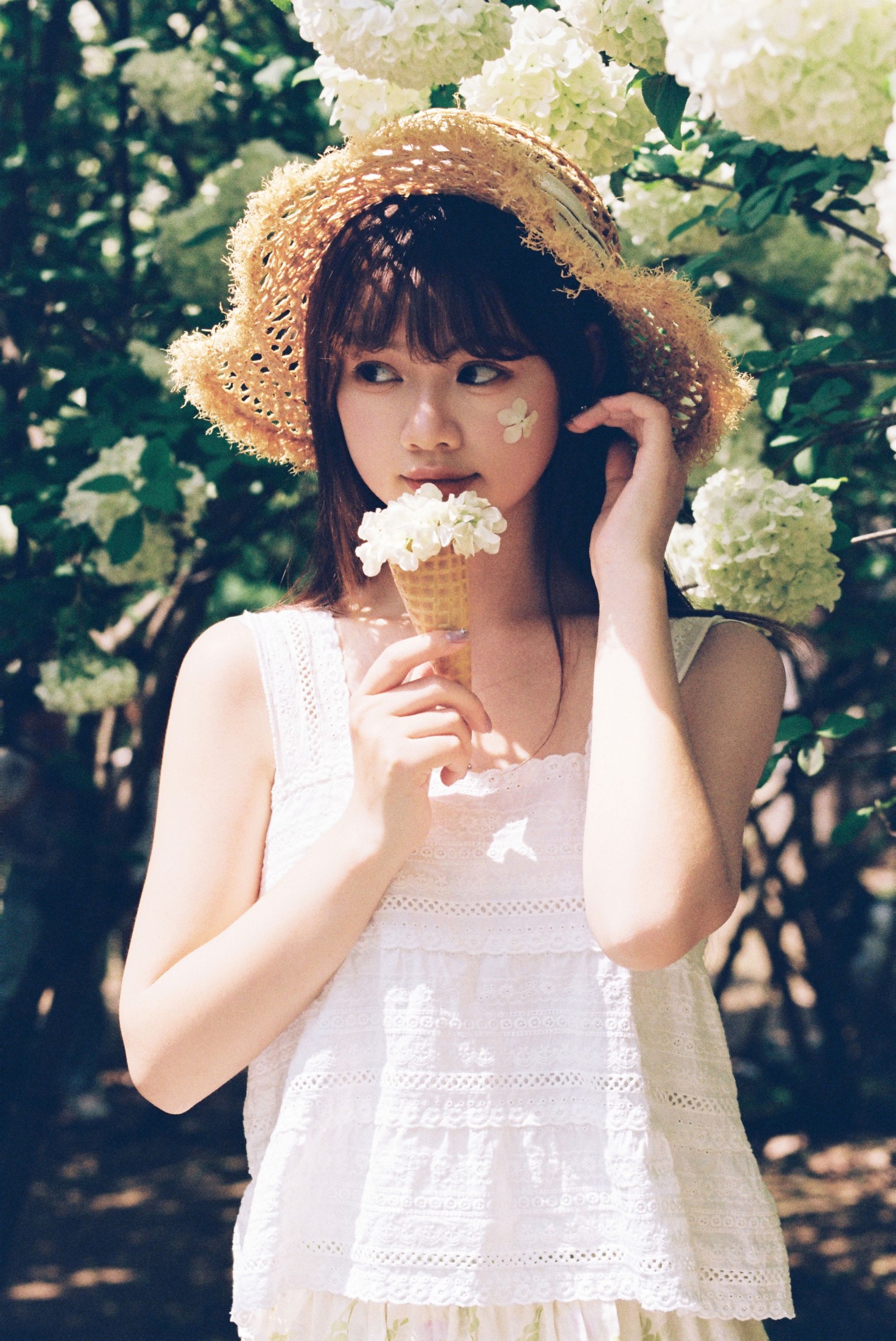 我好圆啊 - 《木绣球的夏天》[18P]