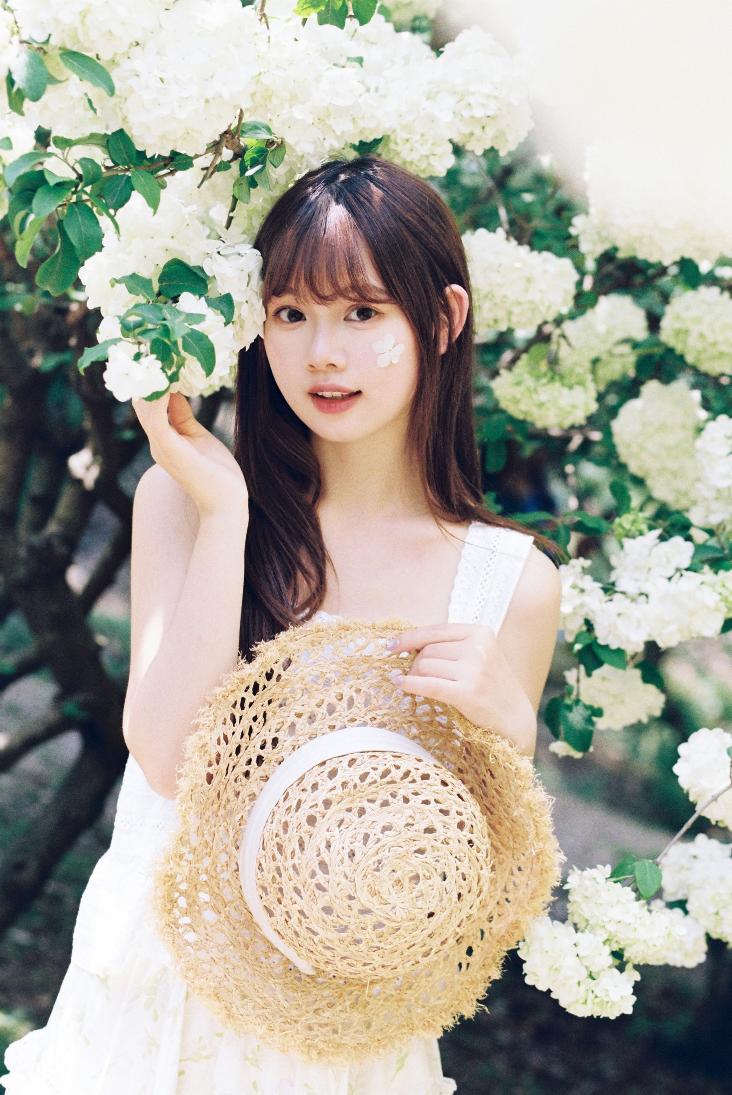 我好圆啊 - 《木绣球的夏天》[18P]