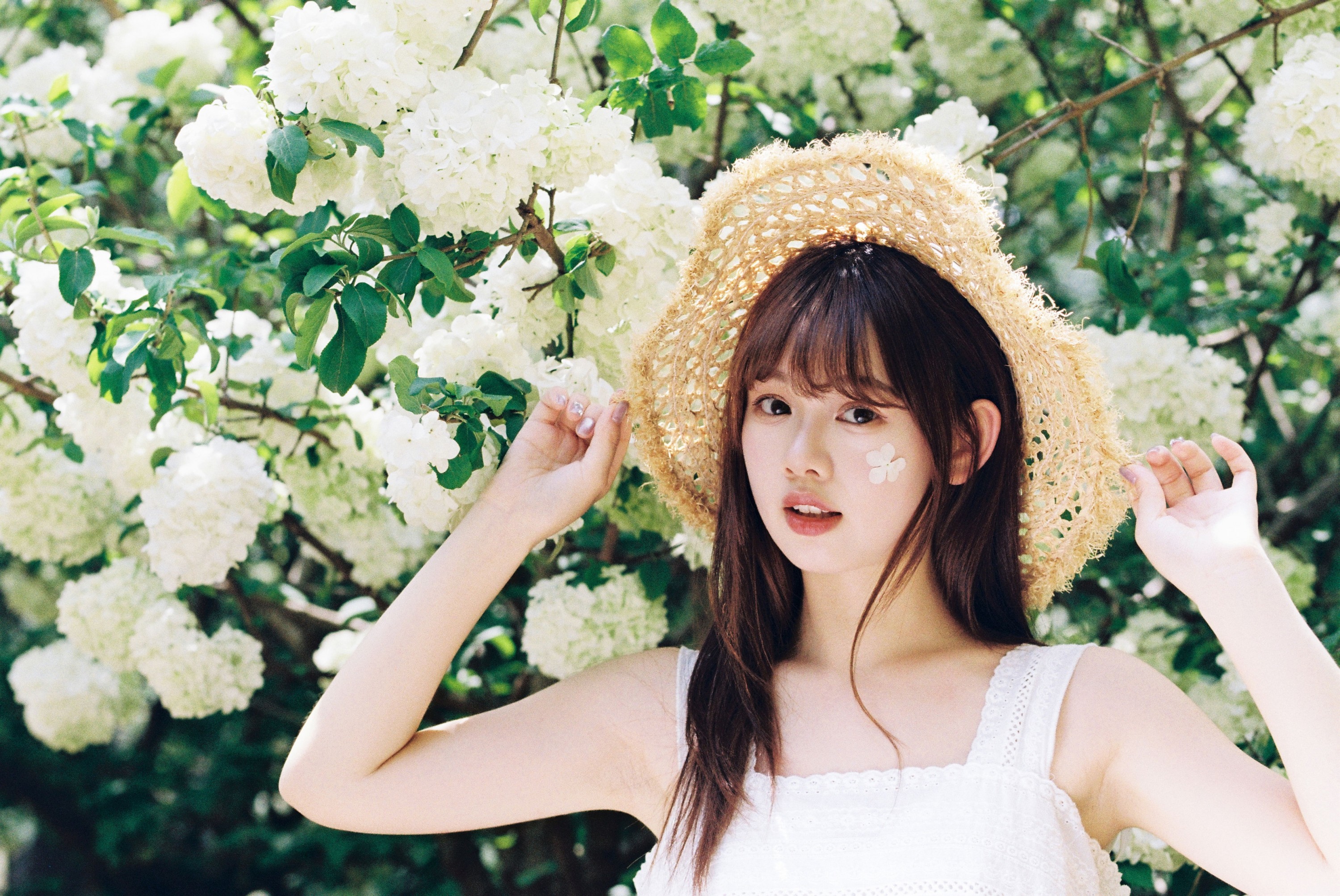 我好圆啊 - 《木绣球的夏天》[18P]