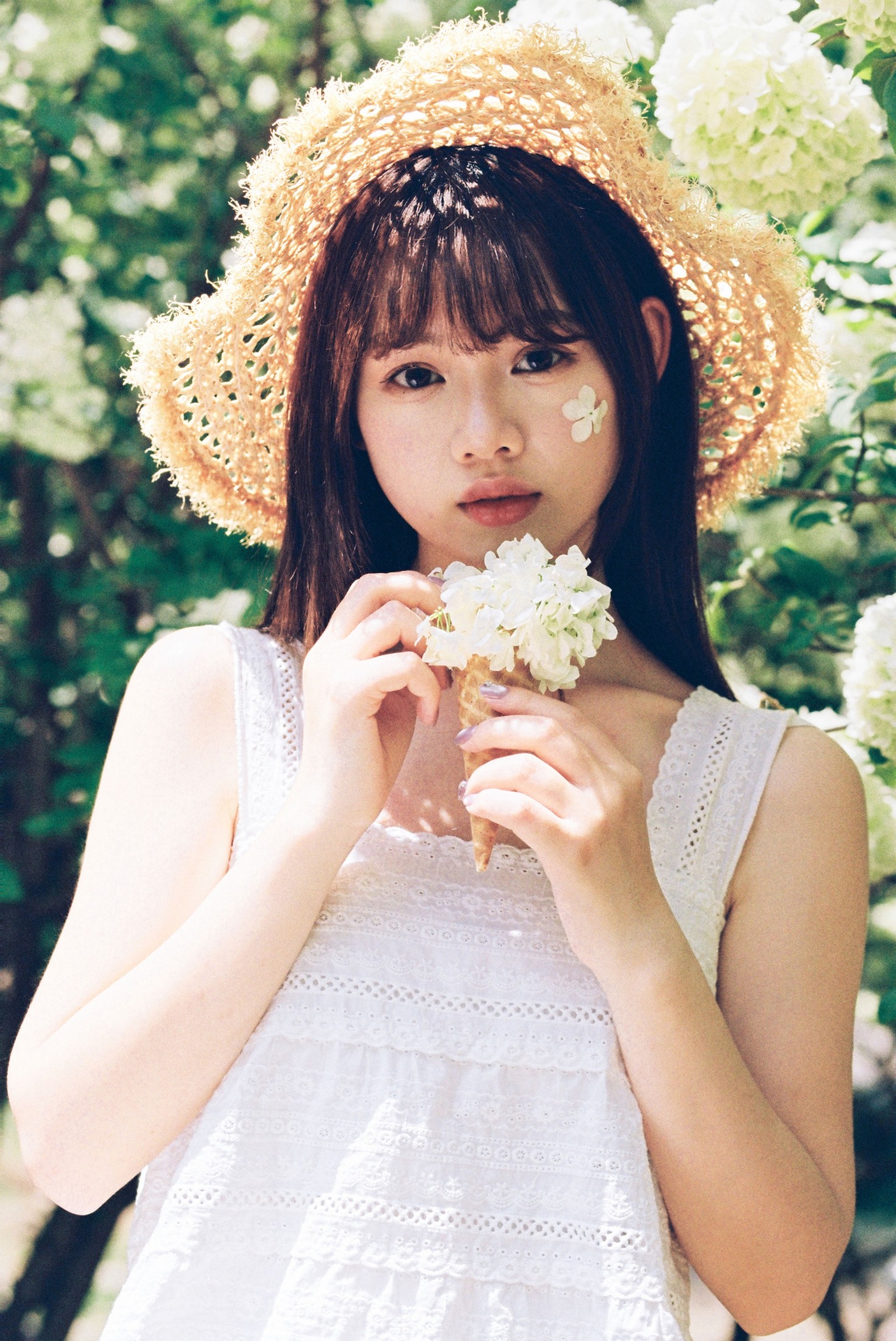 我好圆啊 - 《木绣球的夏天》[18P]