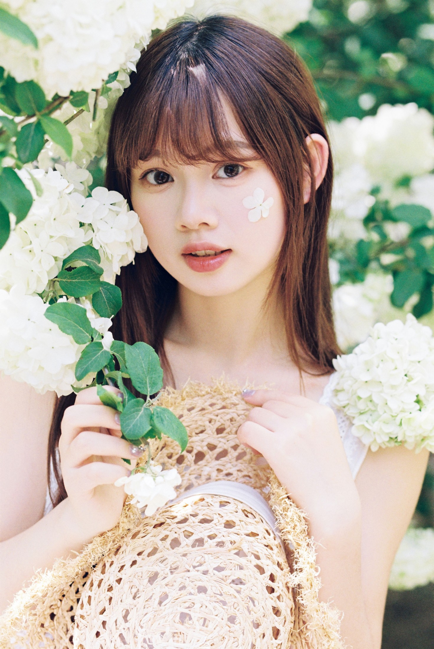 我好圆啊 - 《木绣球的夏天》[18P]