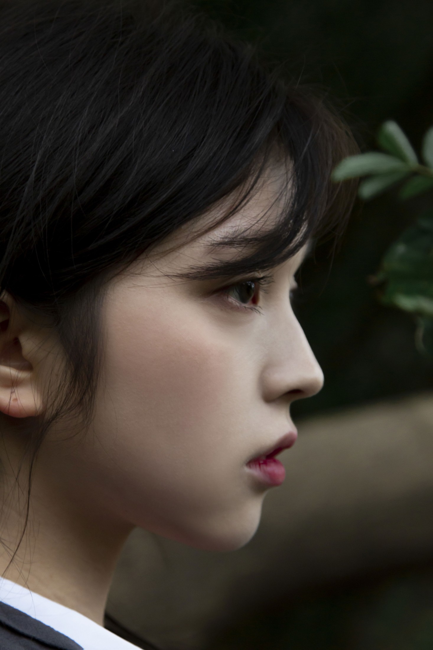 《潮湿的绿意 交错在我眸中》[18P]