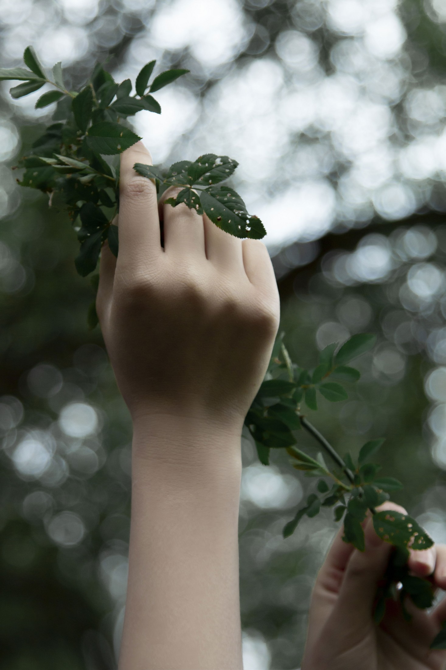 《潮湿的绿意 交错在我眸中》[18P]