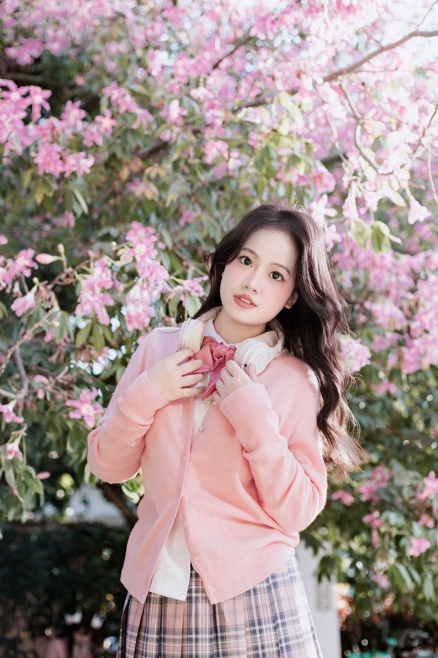 《异木棉》[10P]