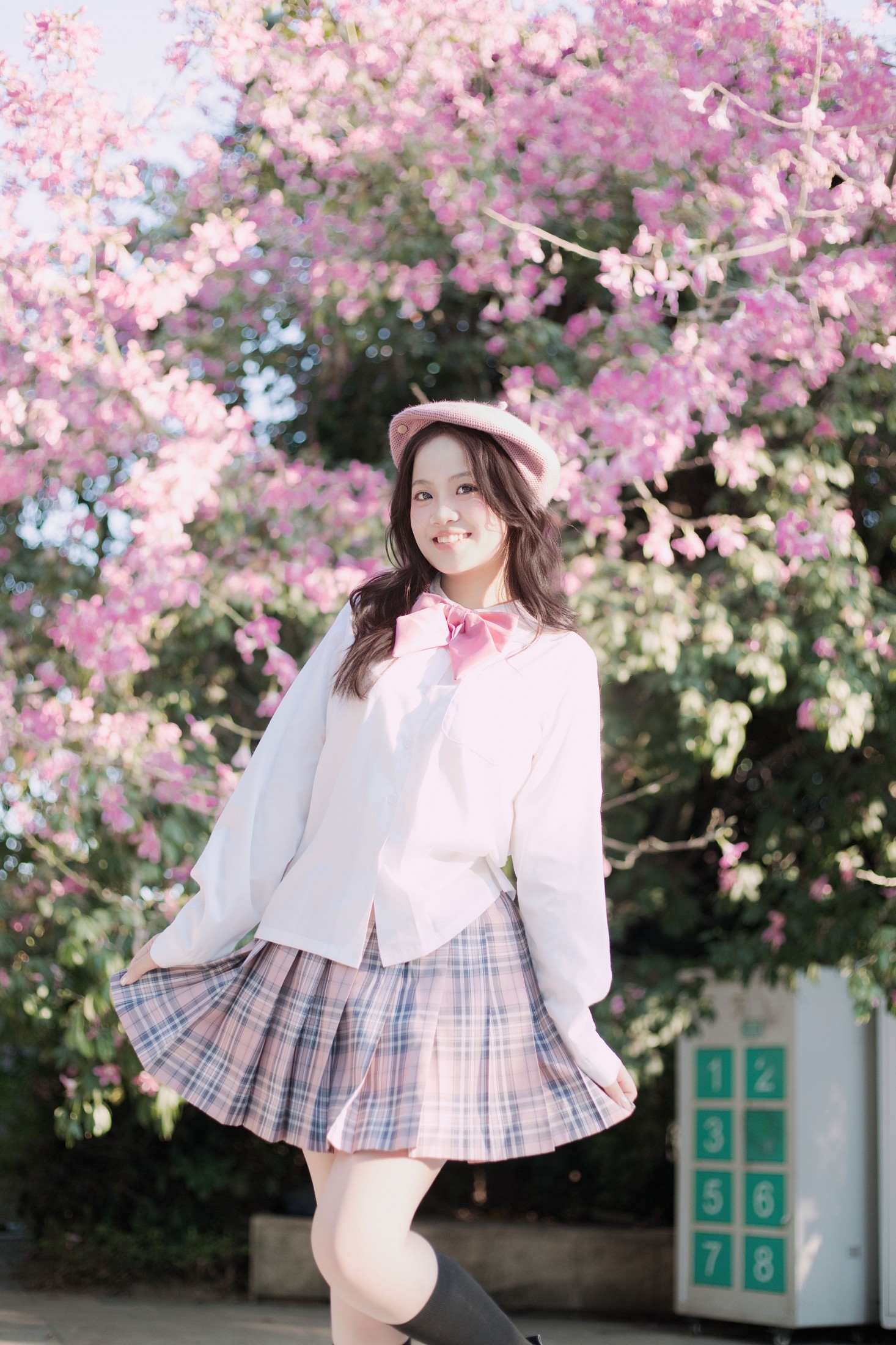 《异木棉》[10P]