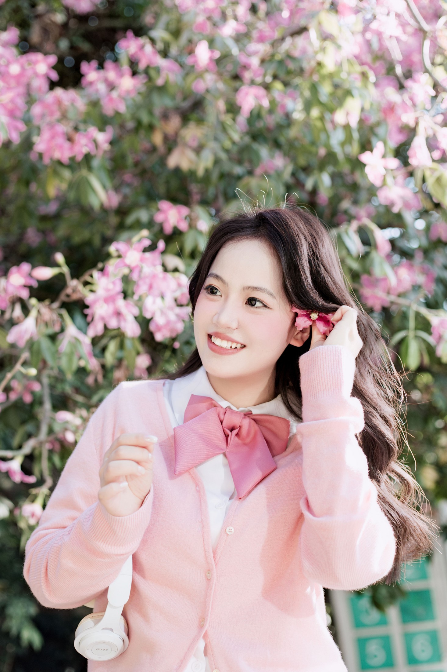 《异木棉》[10P]